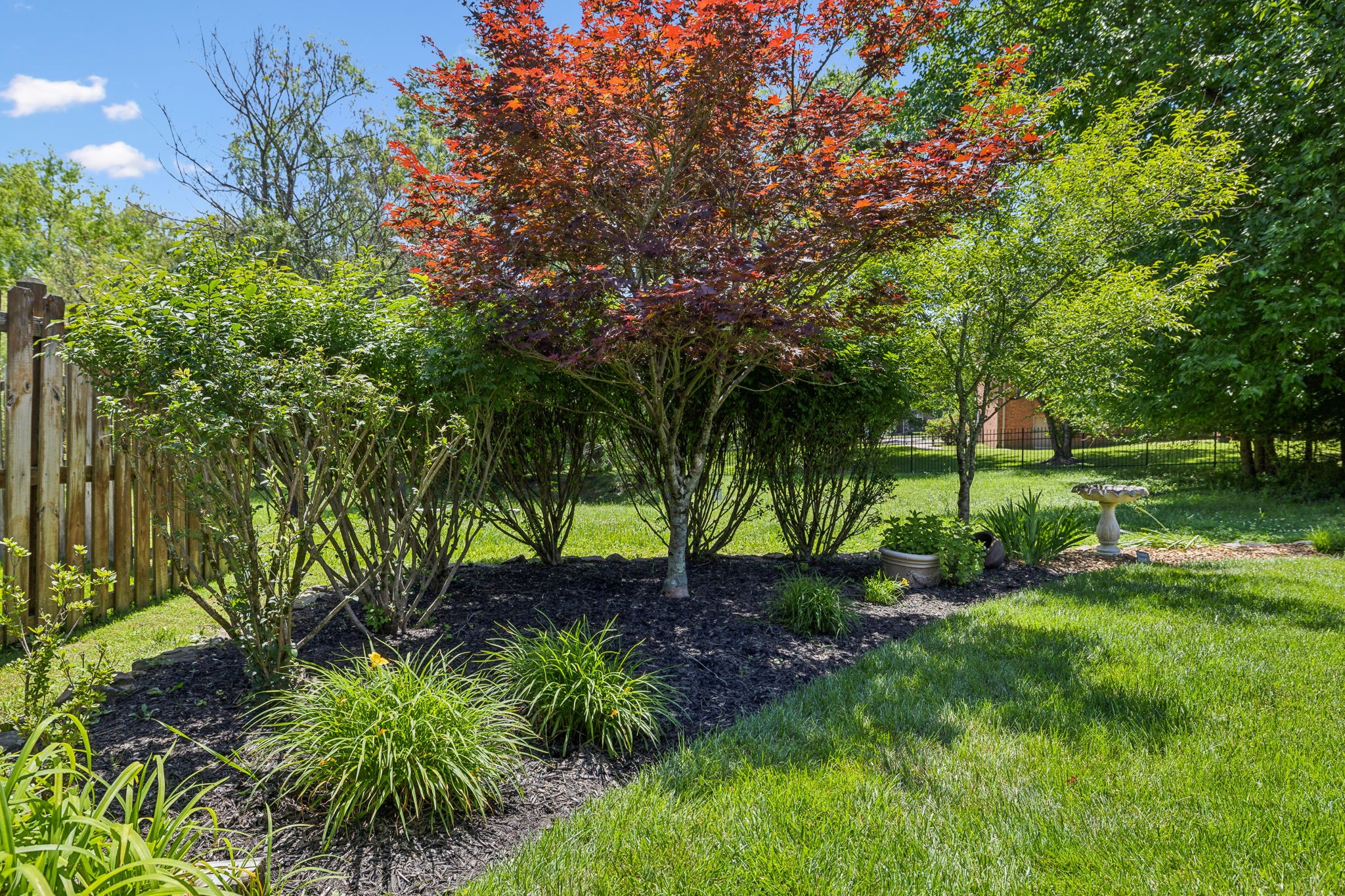 3821 Leona Pass