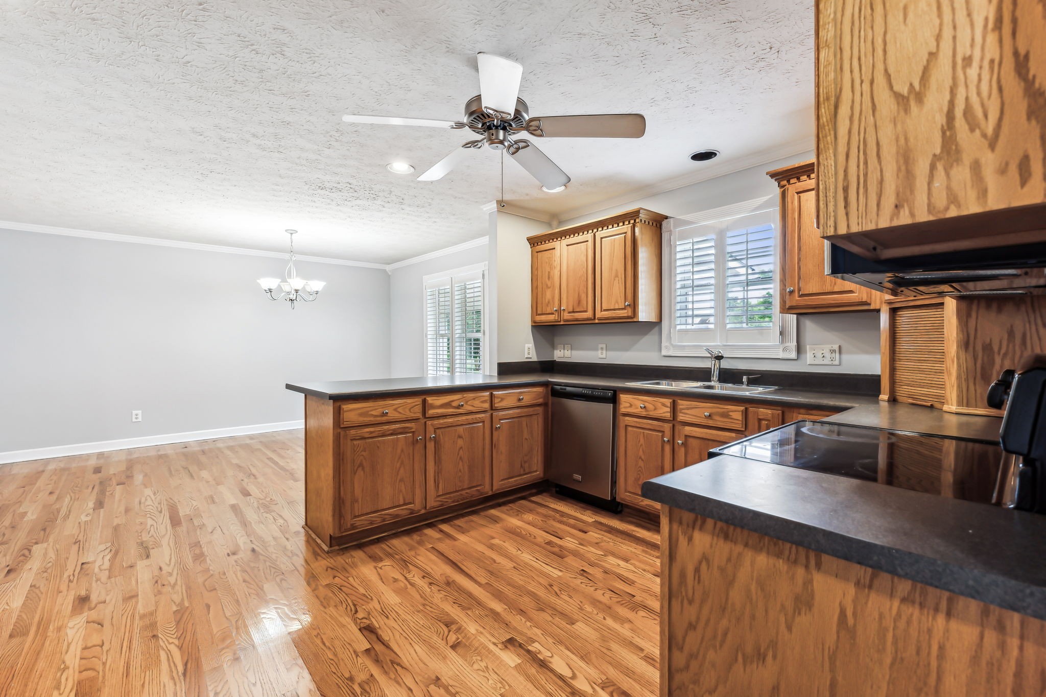 405 Thoroughbred Ln