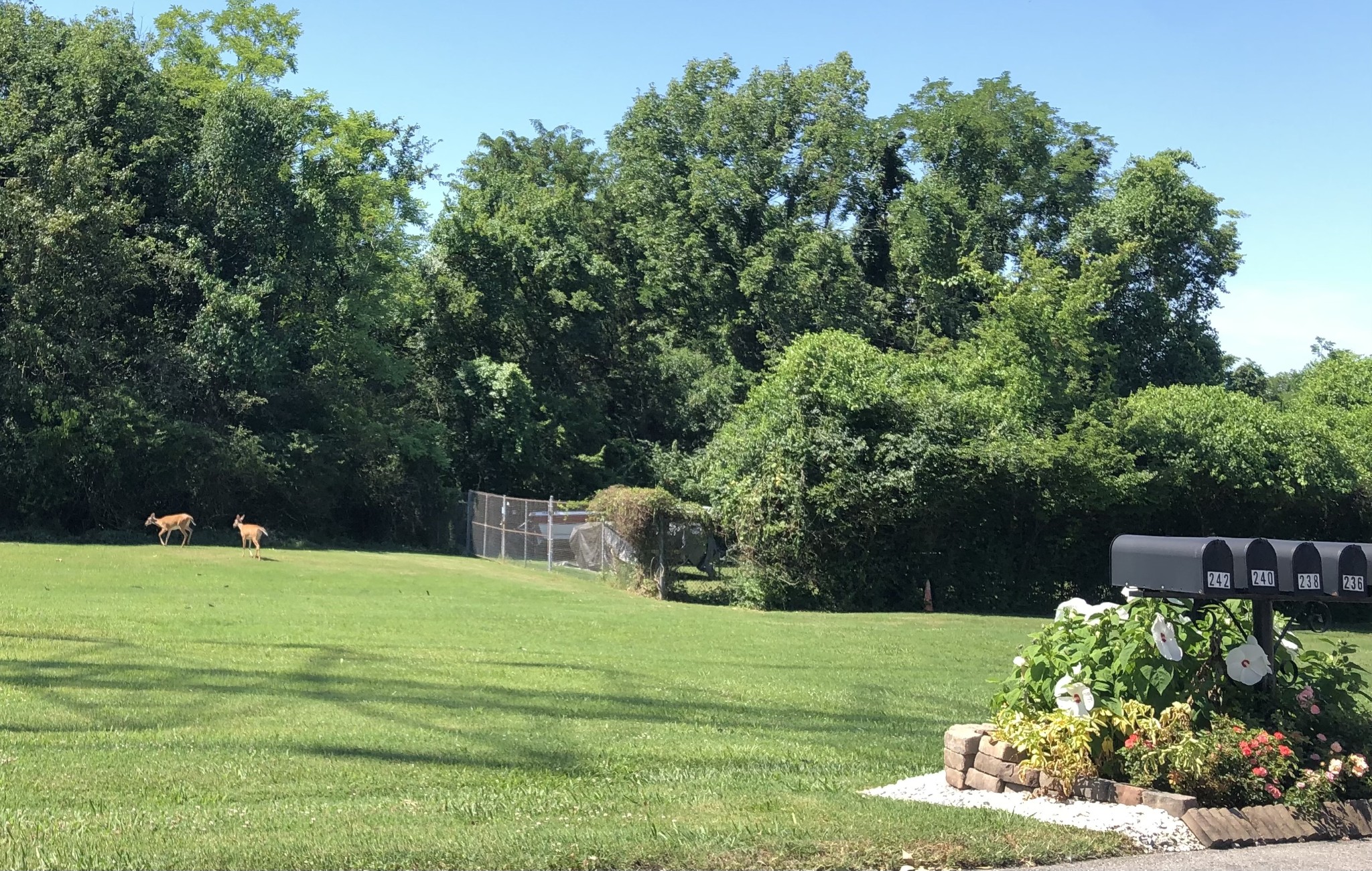 236 Lake Chateau Dr