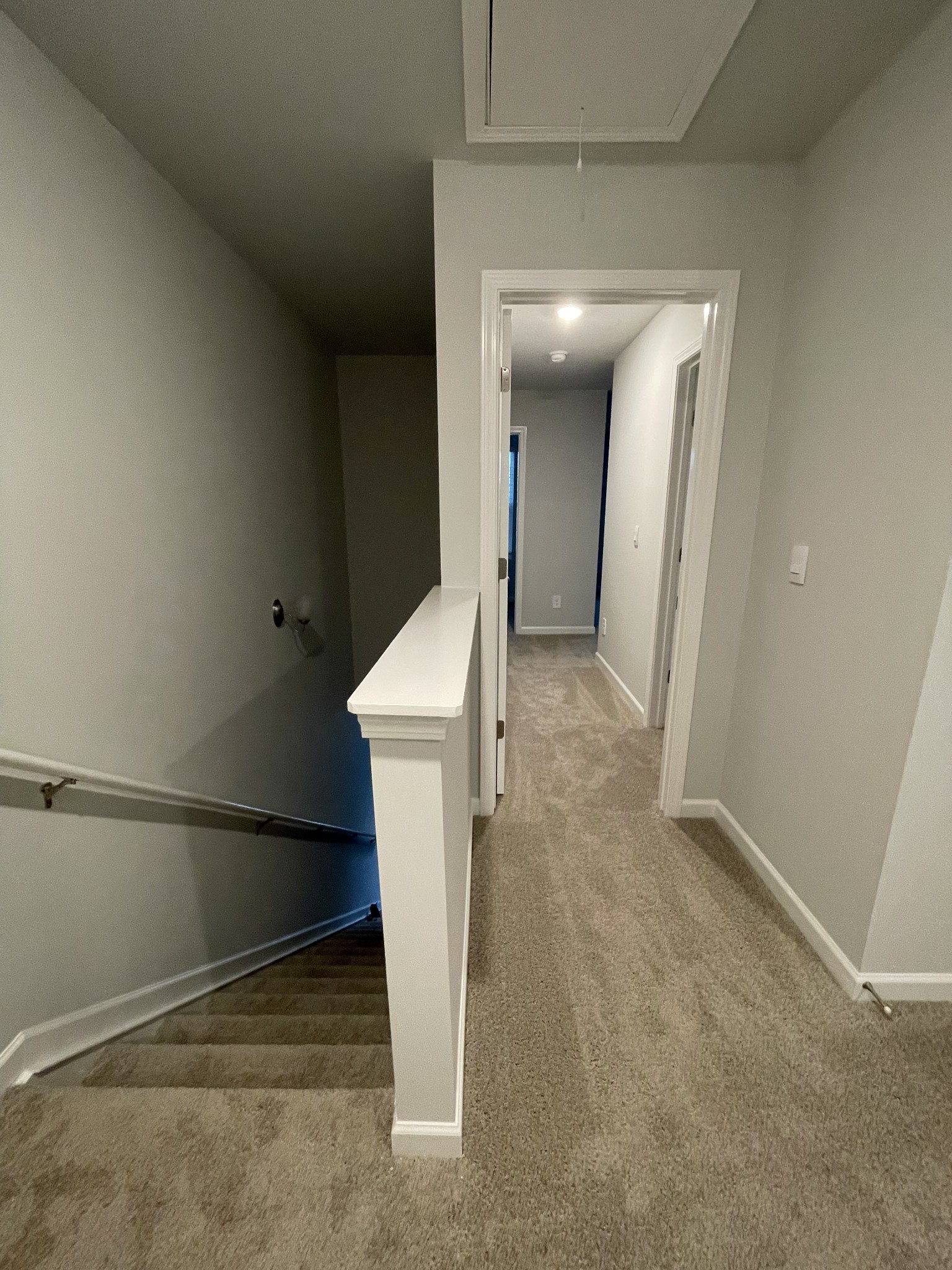 639 Longtail Lane