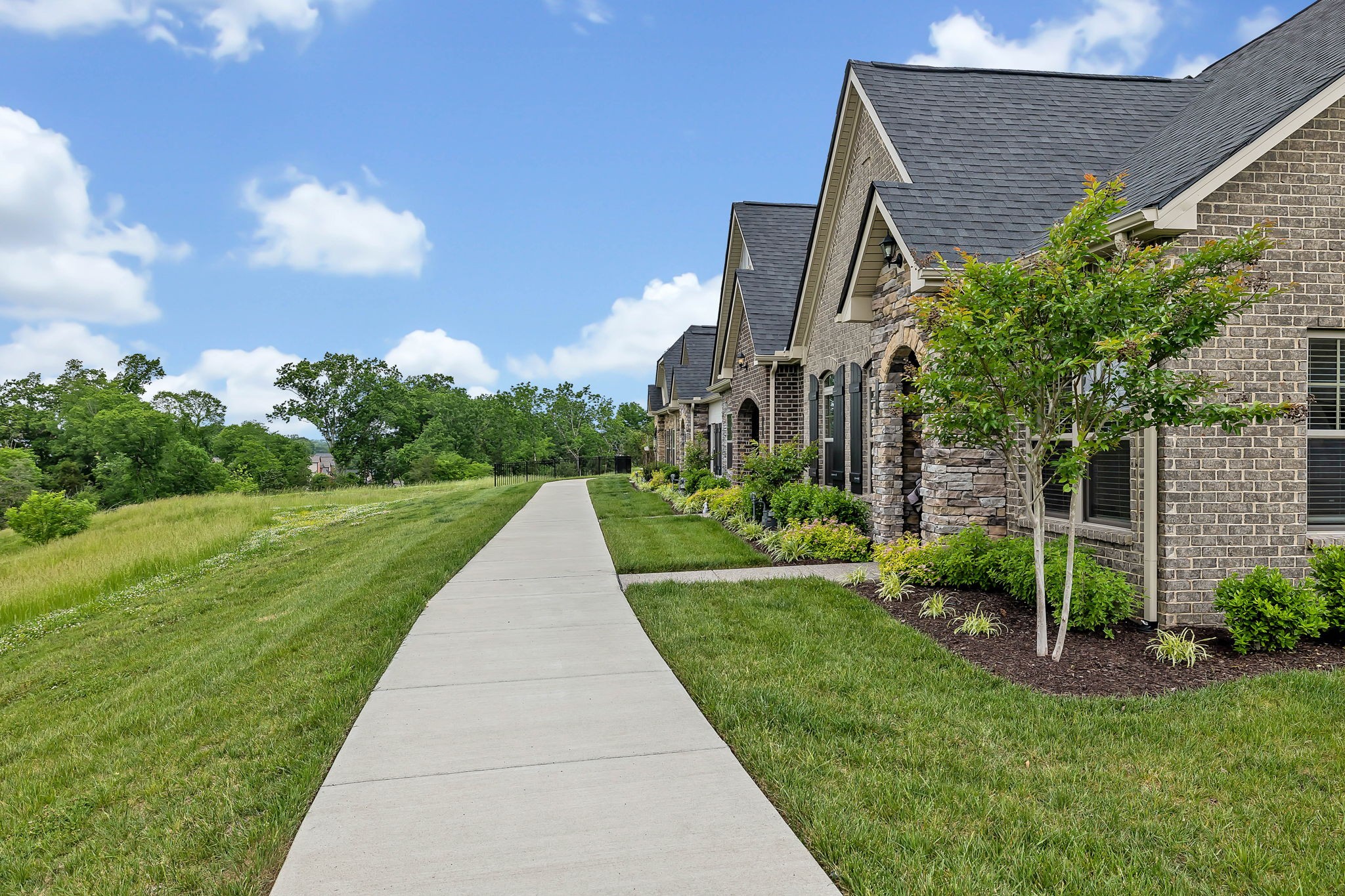 356 Buckner Cir