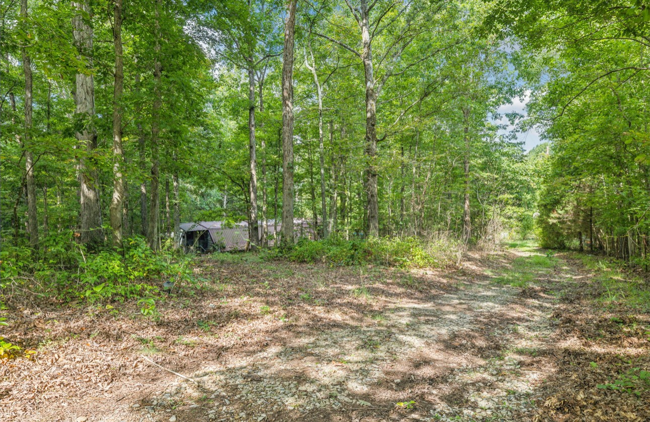 1241 Pack Rd