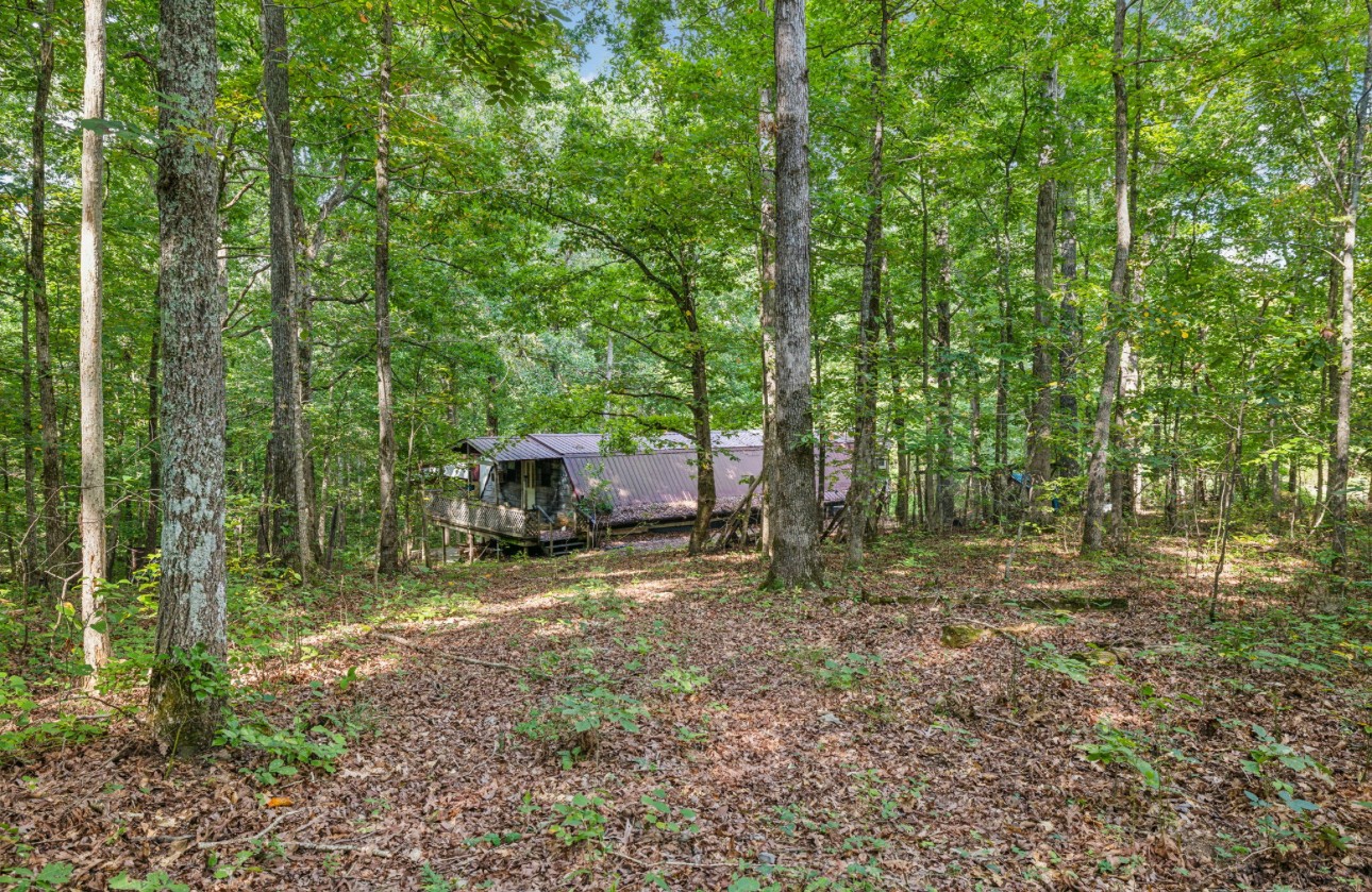 1241 Pack Rd