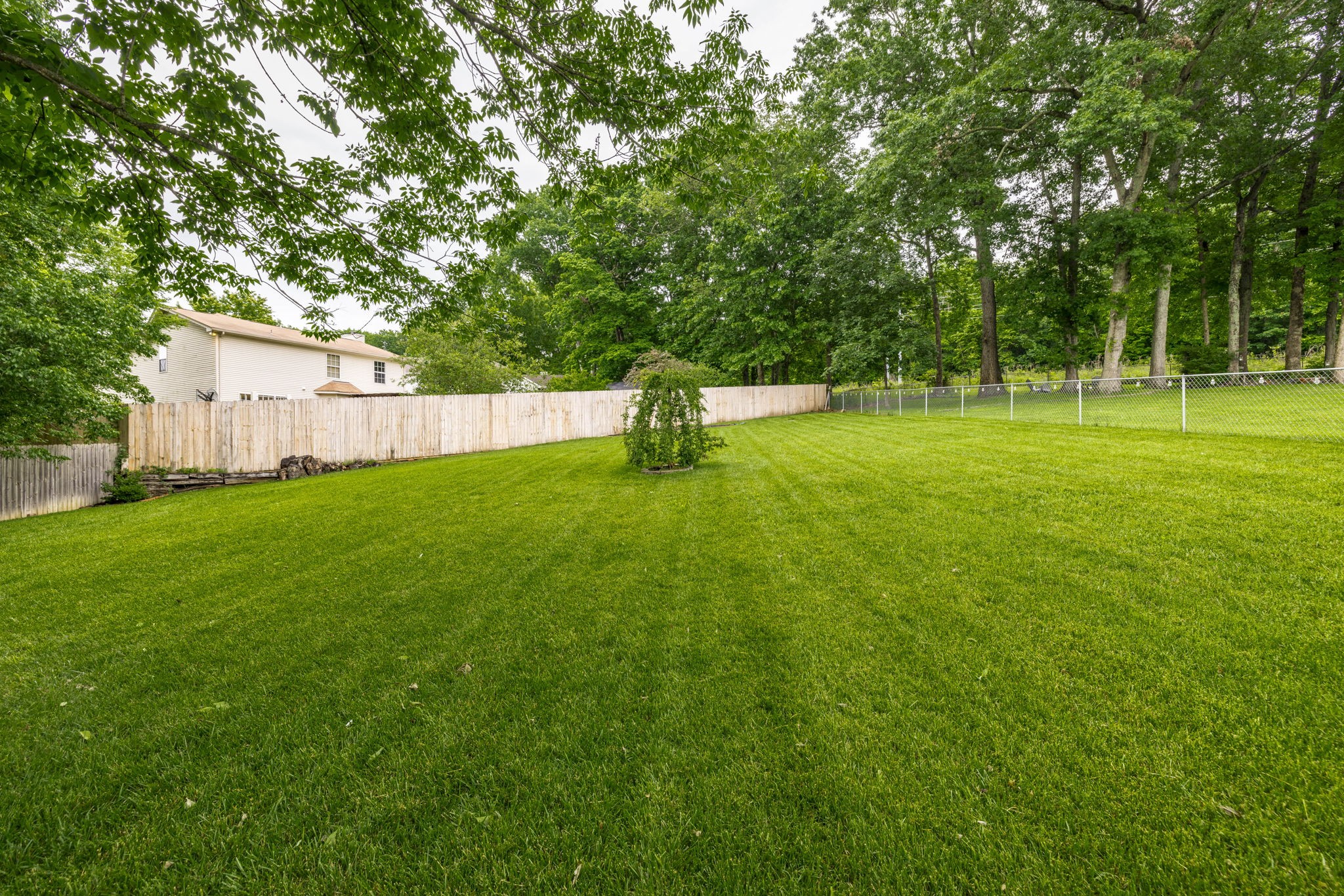 703 Cynthia Ct