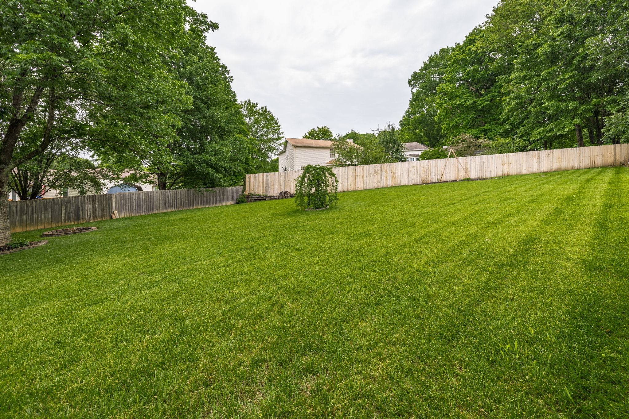 703 Cynthia Ct