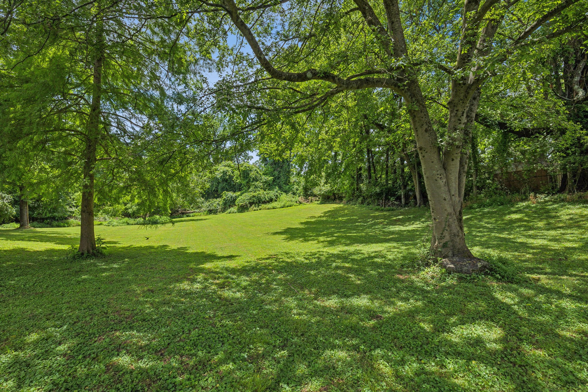 110 Orchard Dr