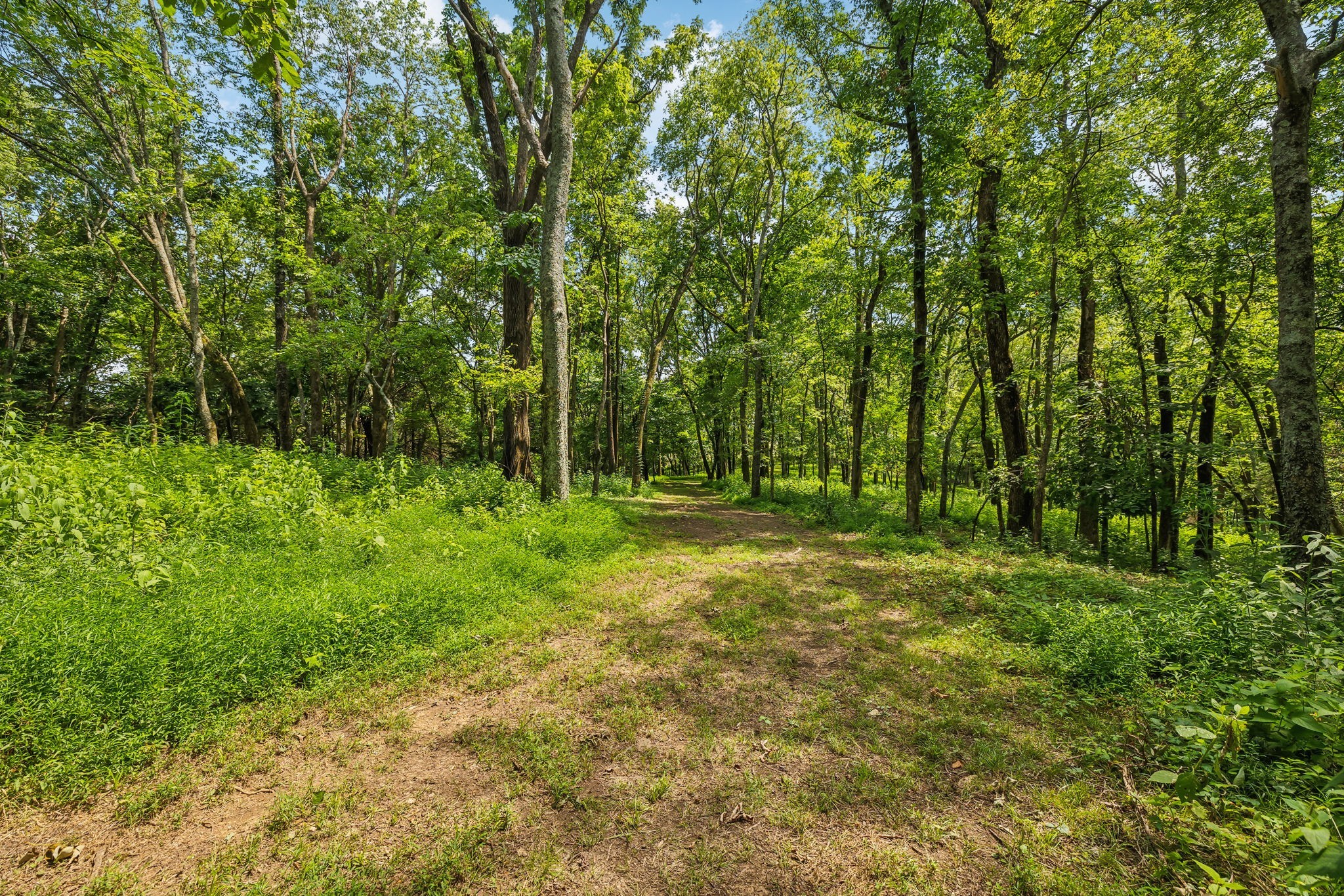 408 Phillips Rd