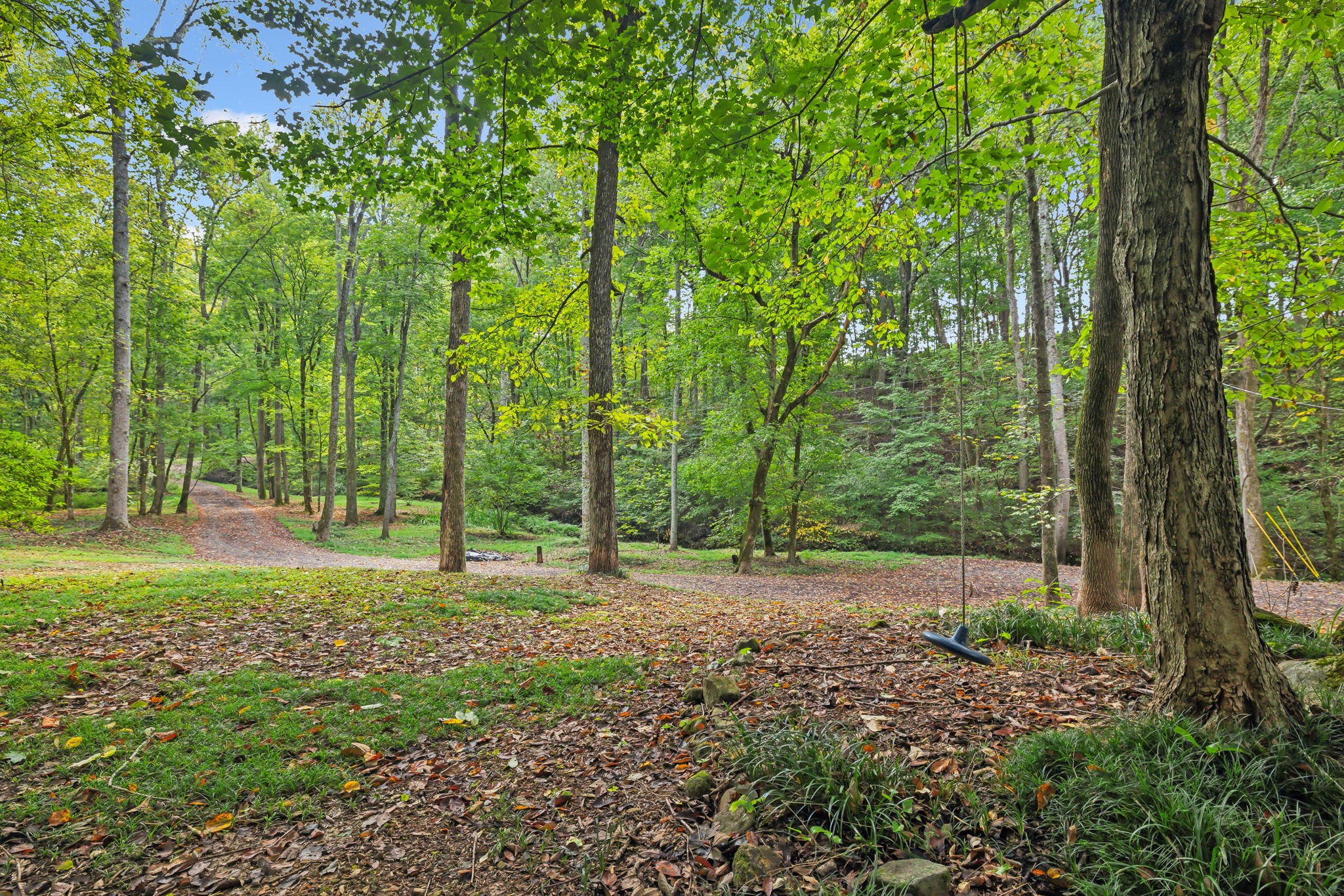 1101 Johns Rd