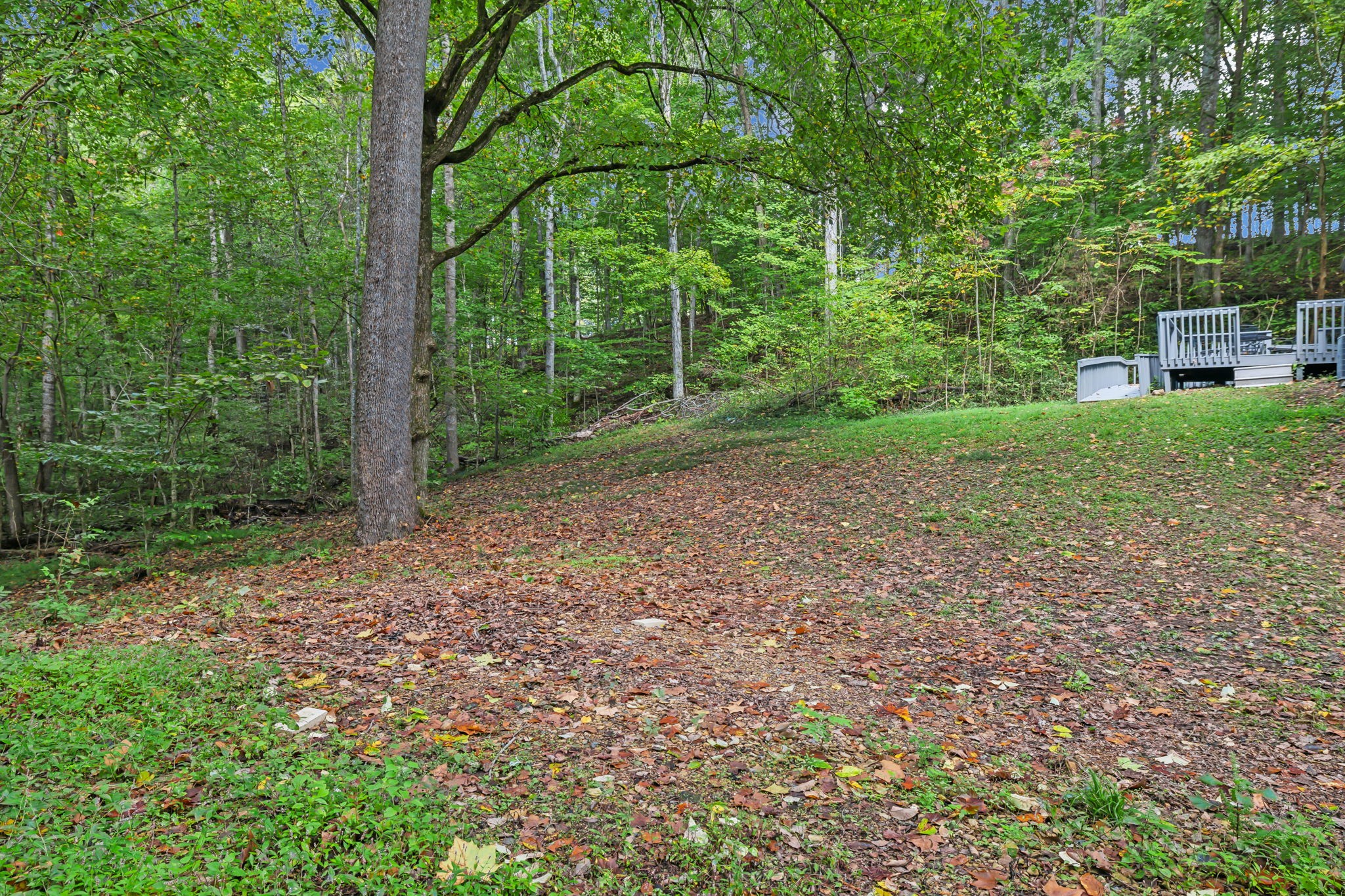 1101 Johns Rd