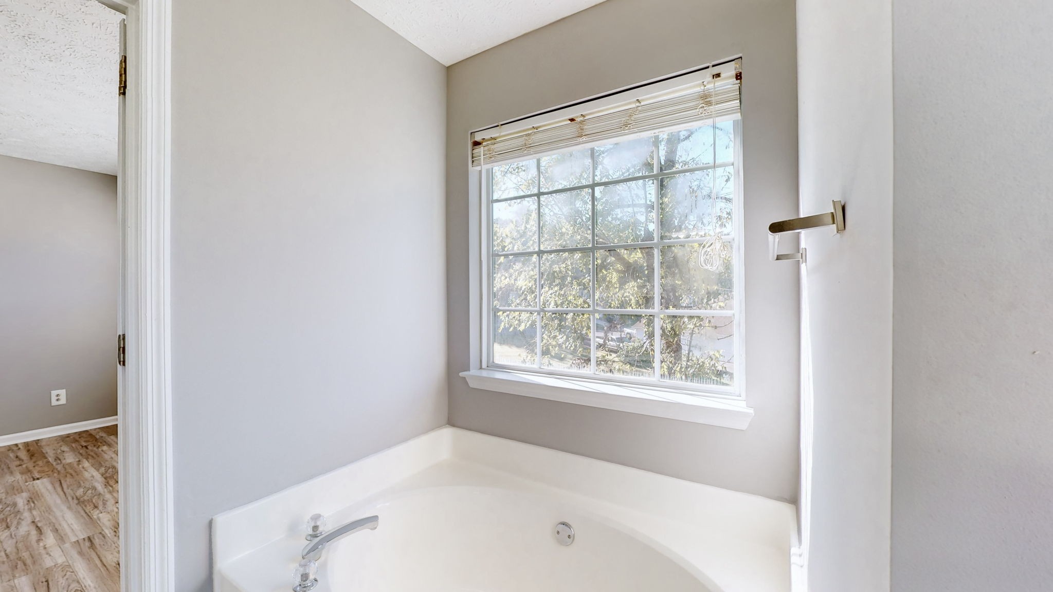 1520 Mount Mitchell Ct