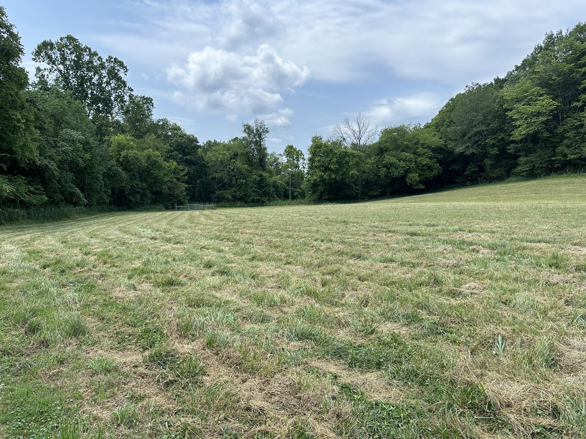 359 Gaulden Hollow Rd