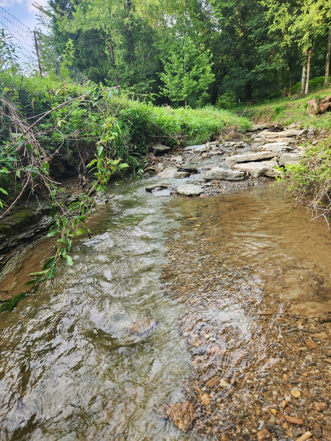 359 Gaulden Hollow Rd