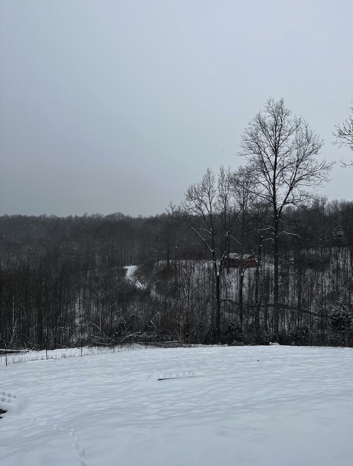 8285 Phillips Hollow Rd
