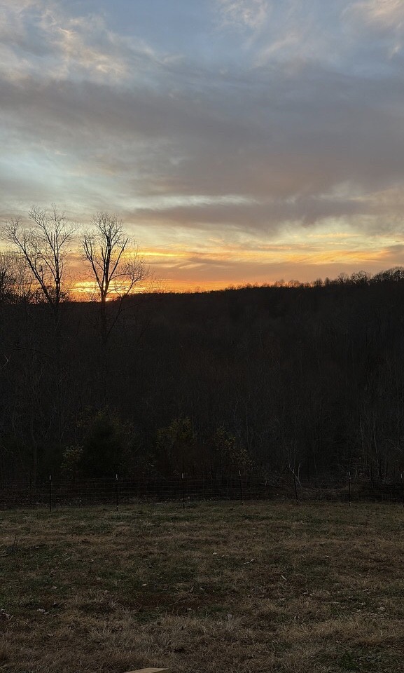 8285 Phillips Hollow Rd