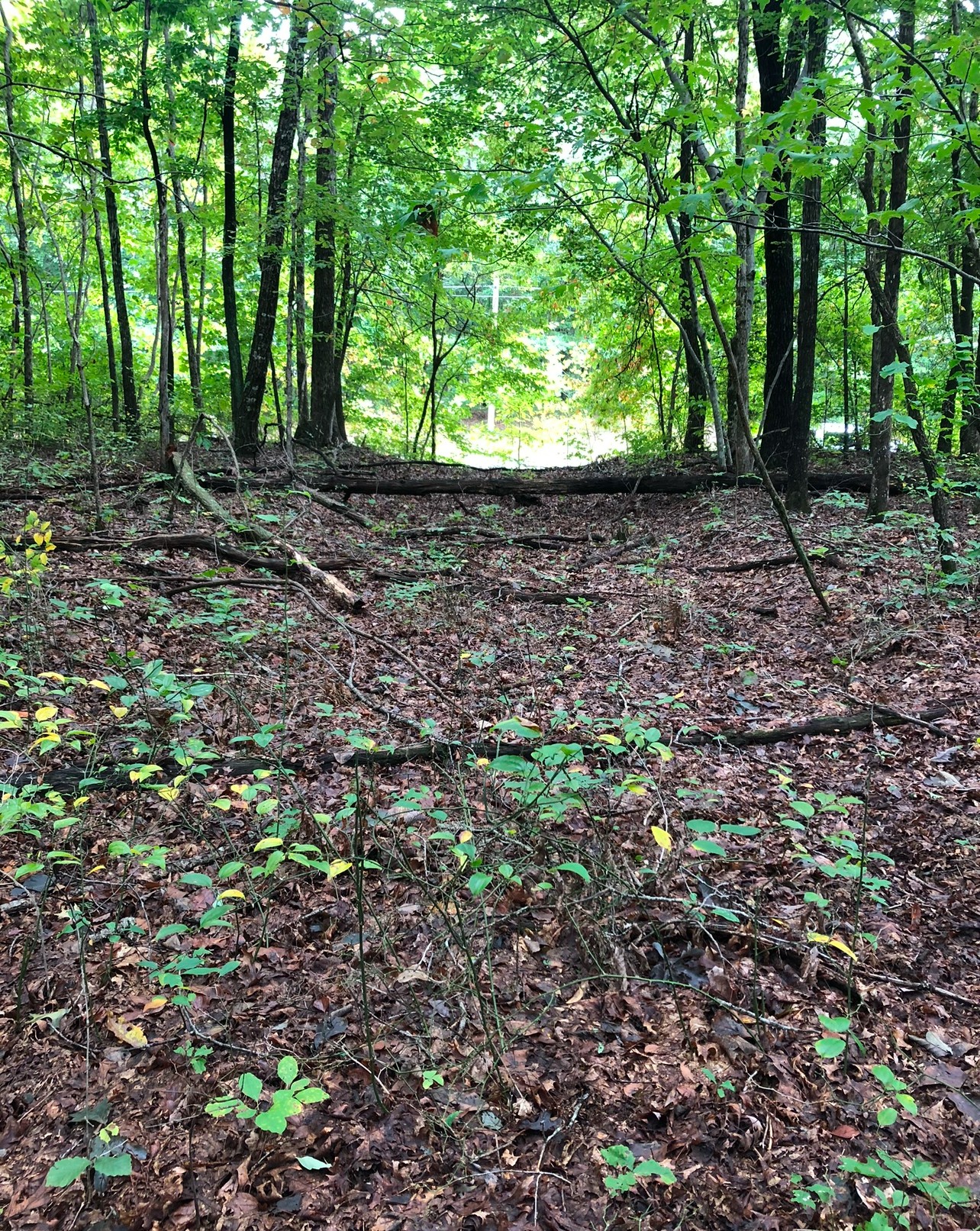 0 Deer Run Rd