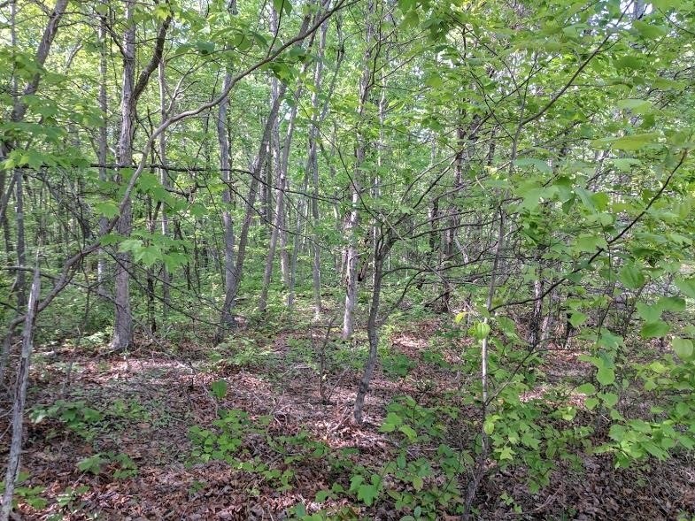 0 Deer Run Rd