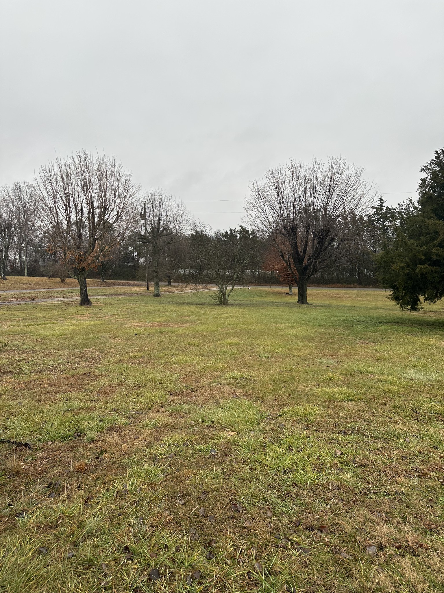 548 Bessie Gribble Rd