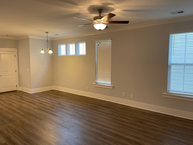 525 Black Tea Way