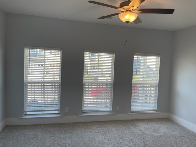 525 Black Tea Way