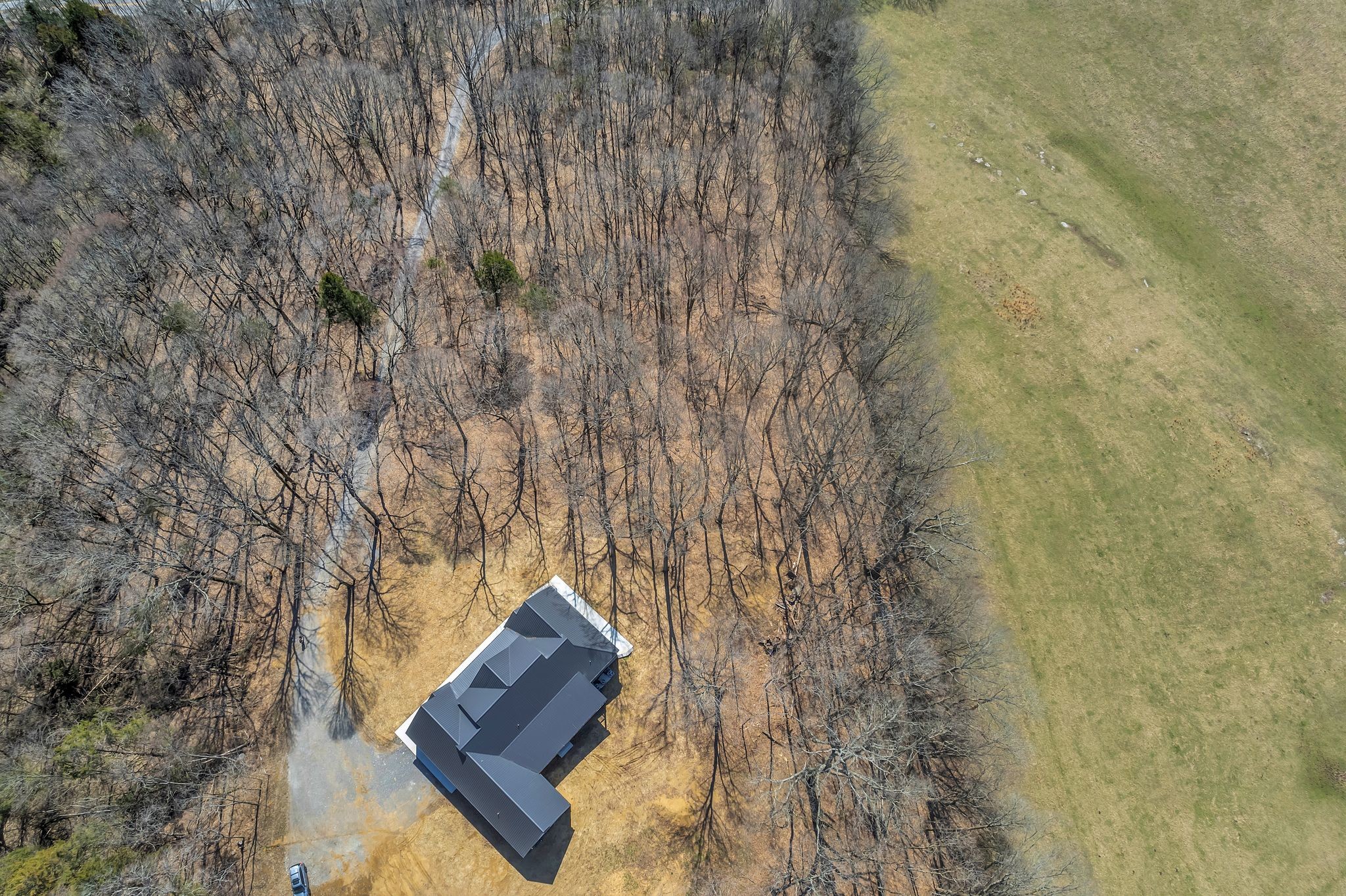 2165 Trammel Ln