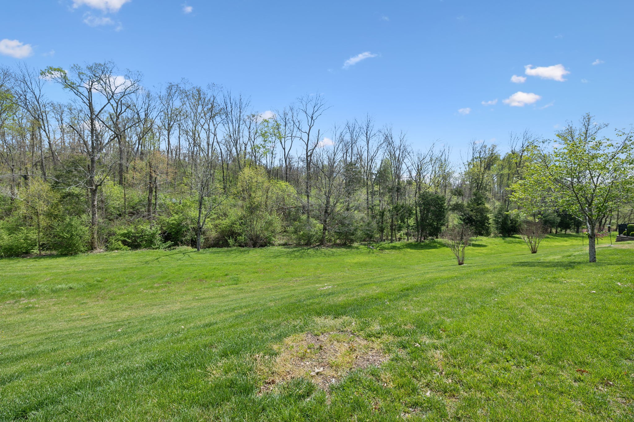 226 Meandering Dr