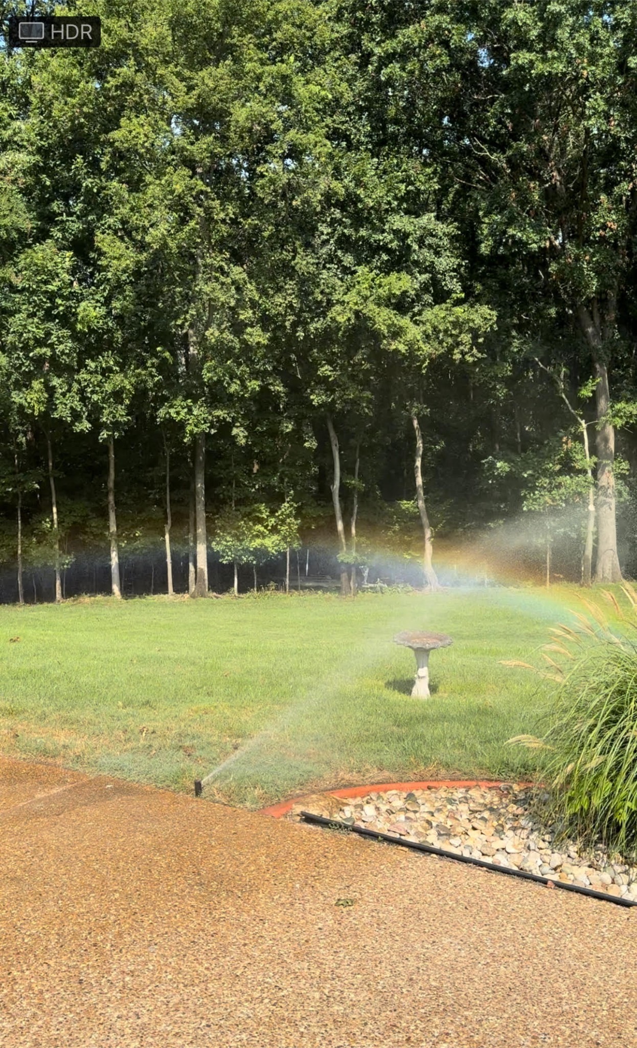 1018 Mystic Streams Dr