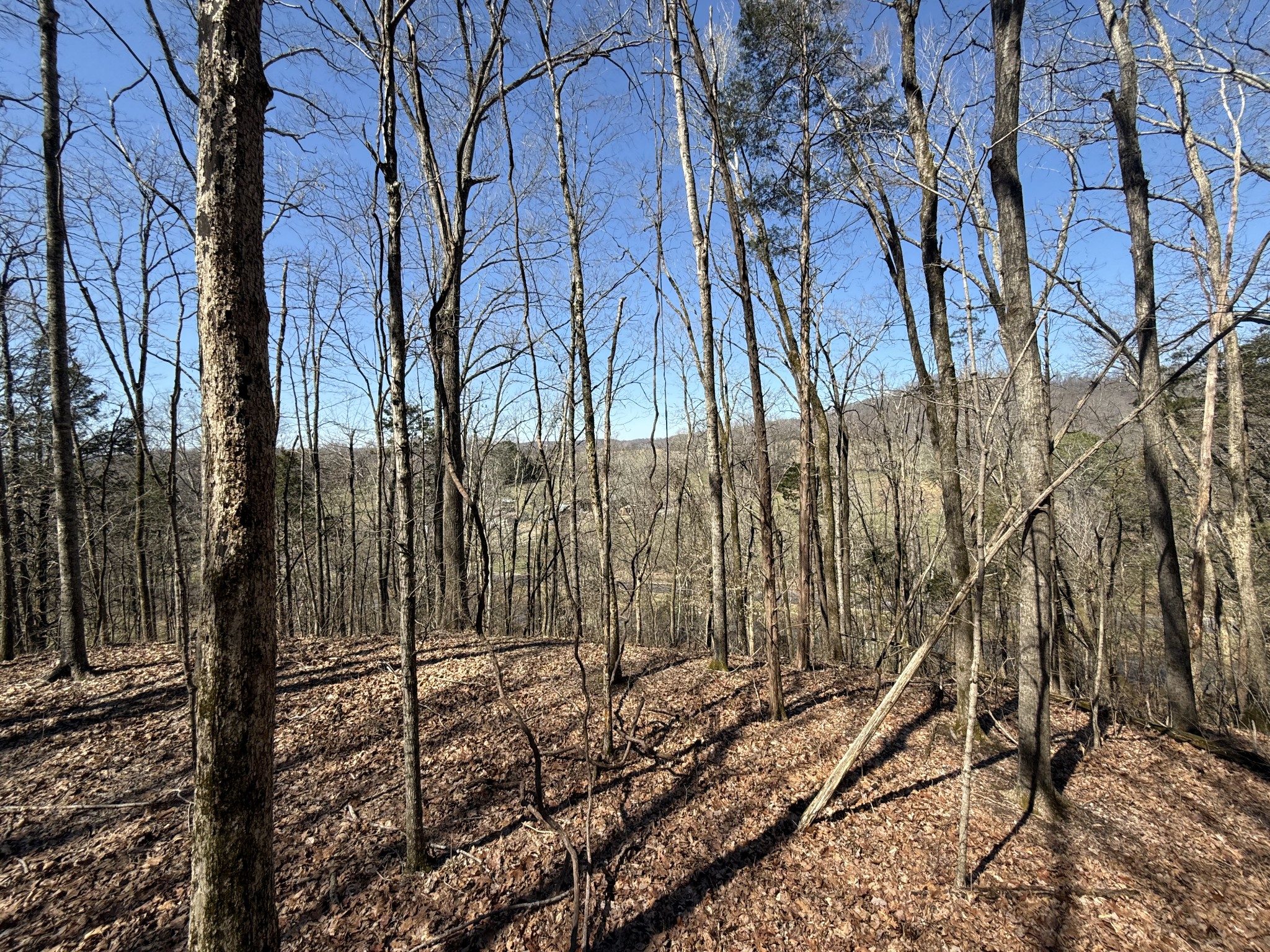 0 Bugg Hollow