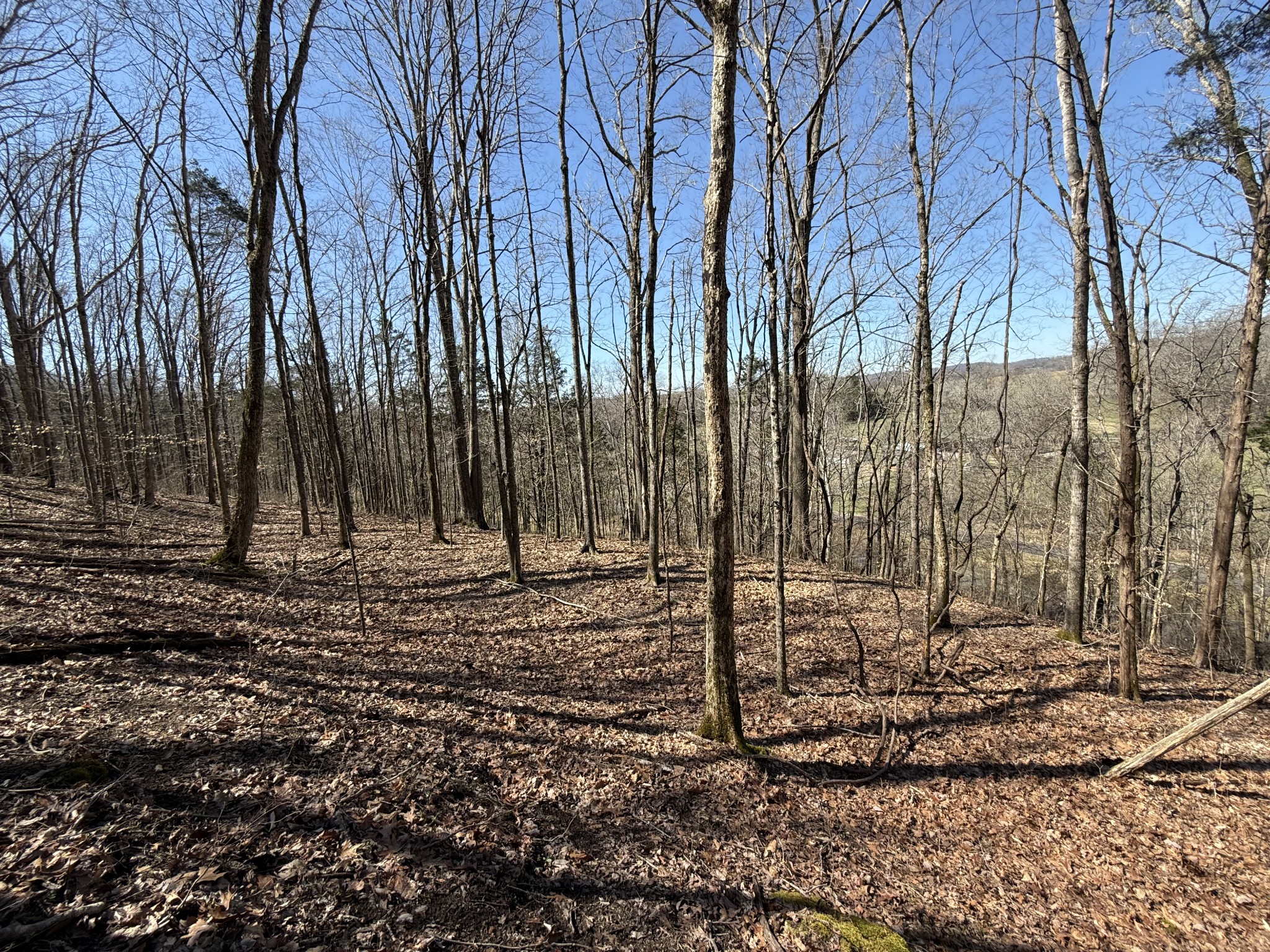 0 Bugg Hollow