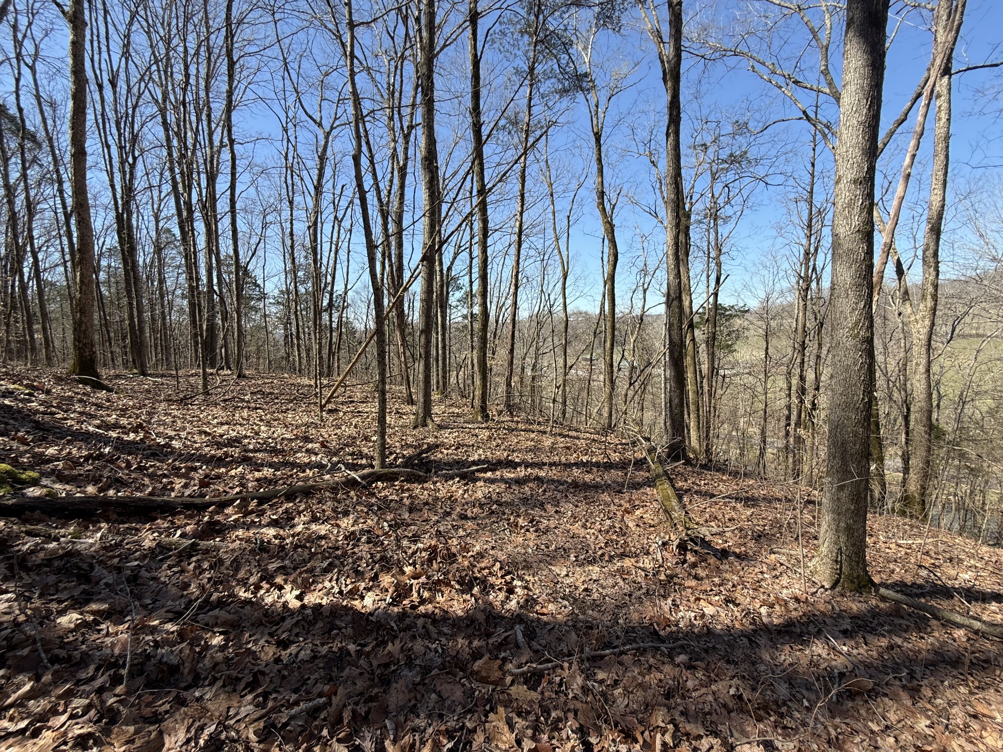 0 Bugg Hollow