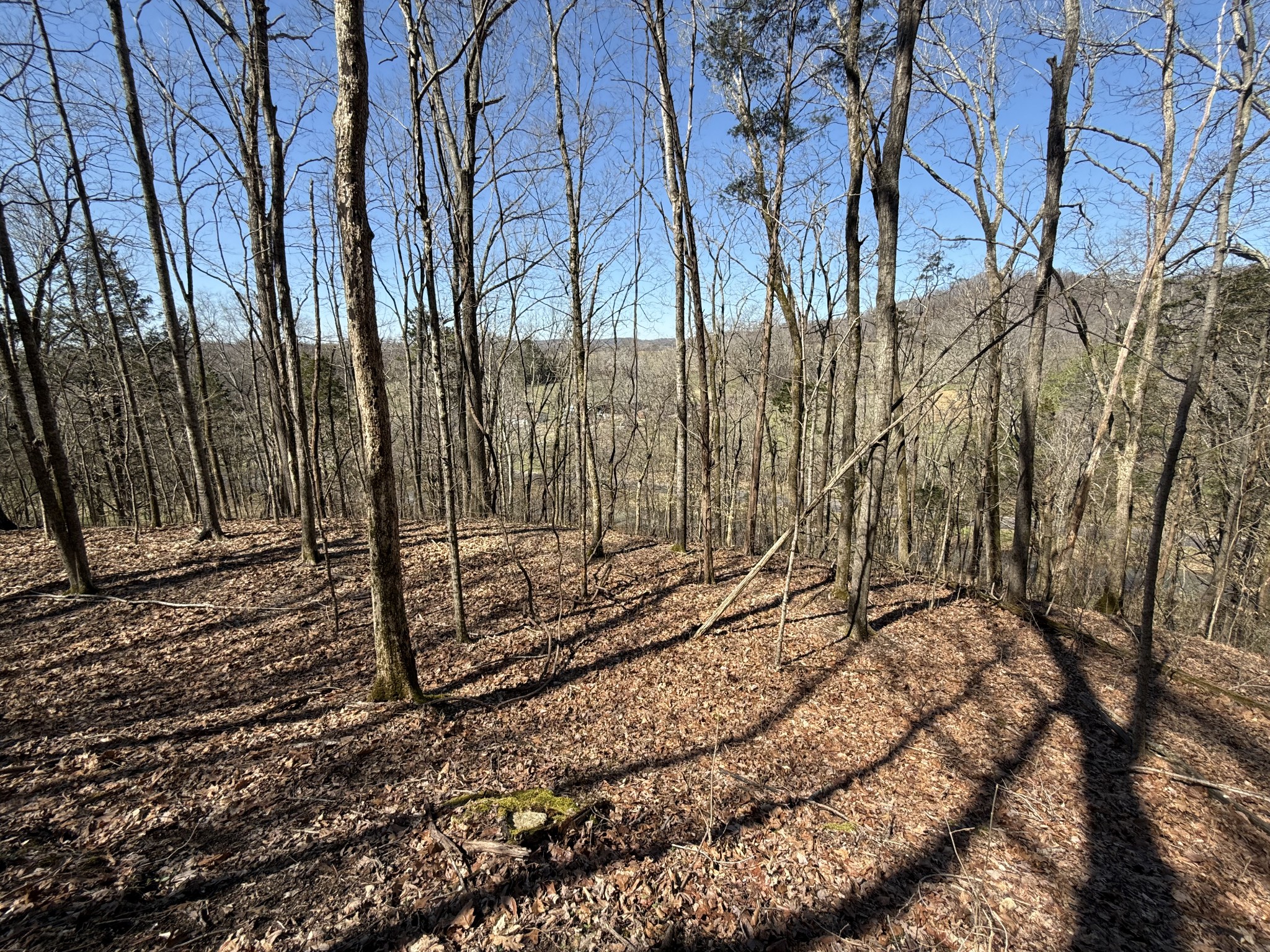 0 Bugg Hollow