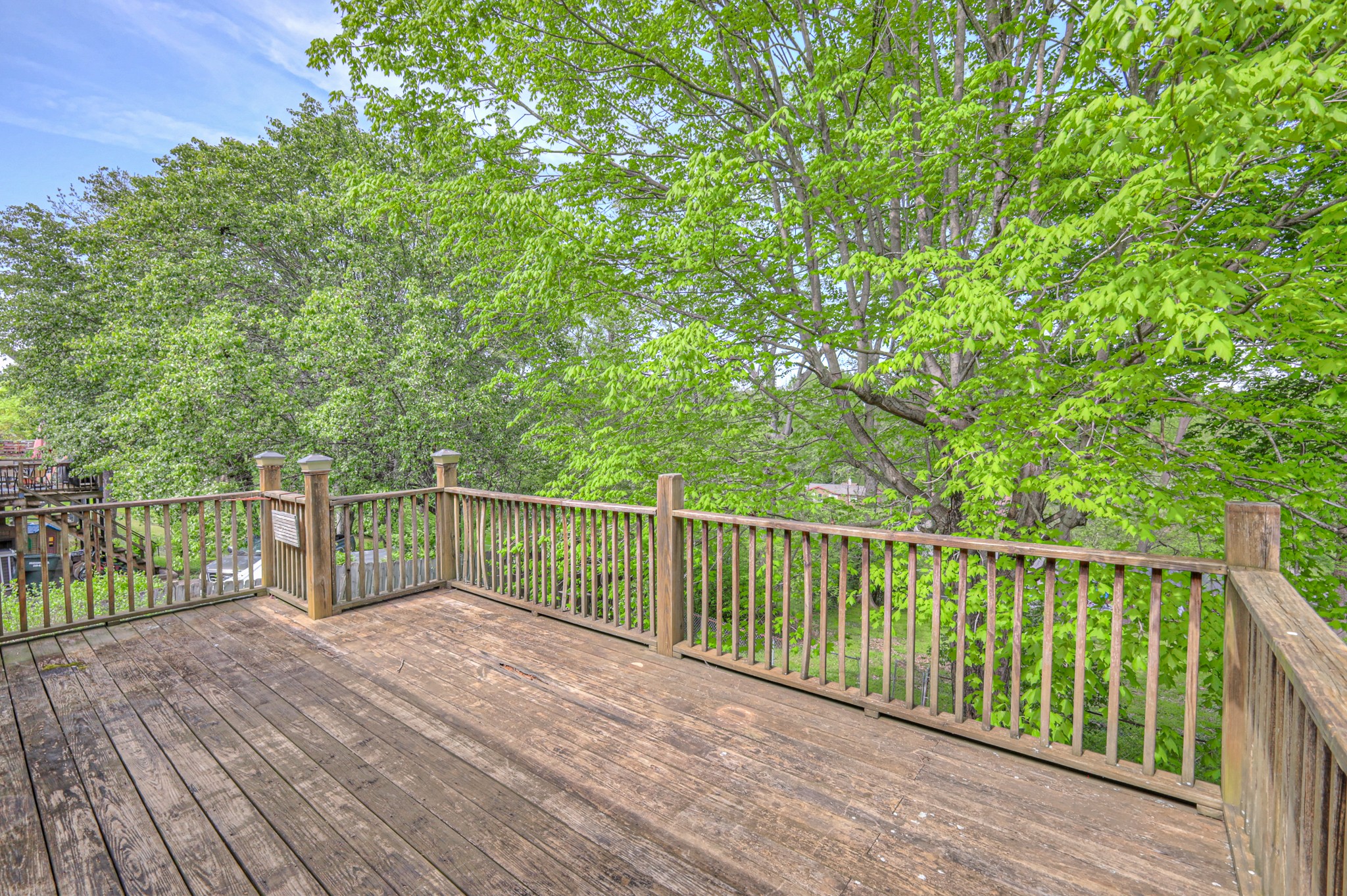 717 Albany Dr