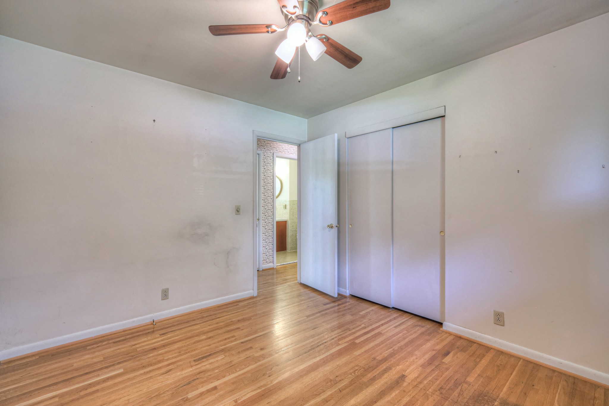 717 Albany Dr