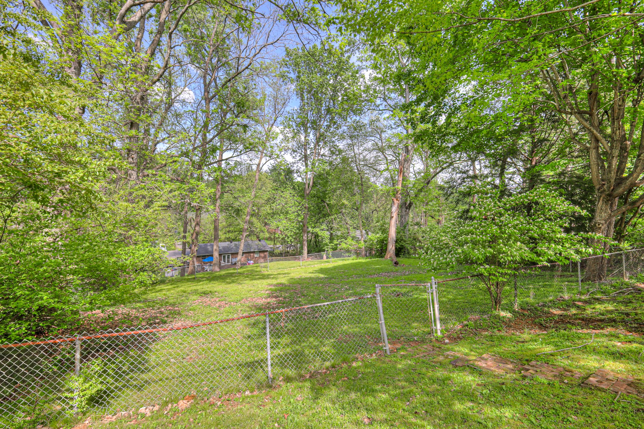 717 Albany Dr