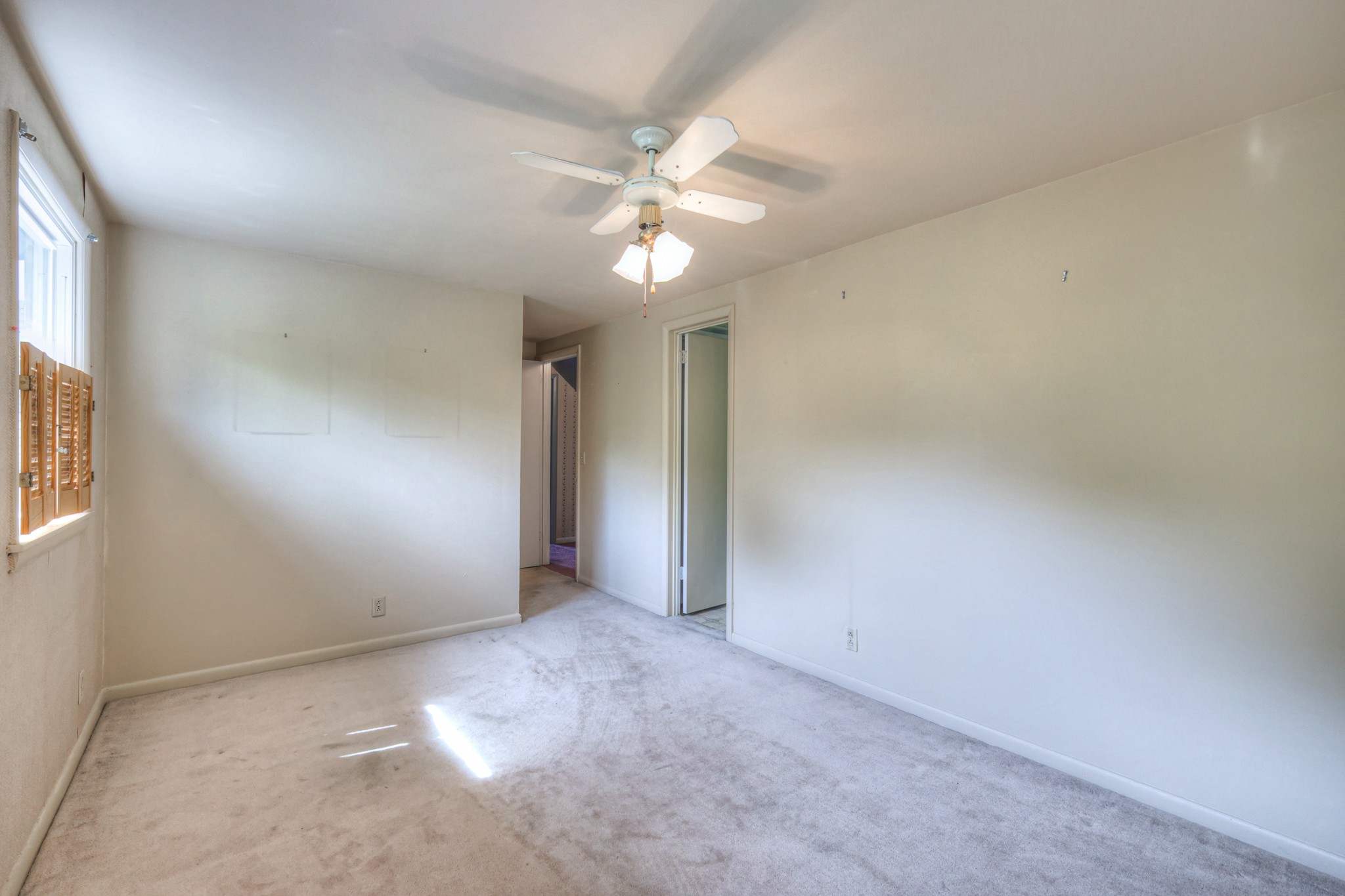 717 Albany Dr