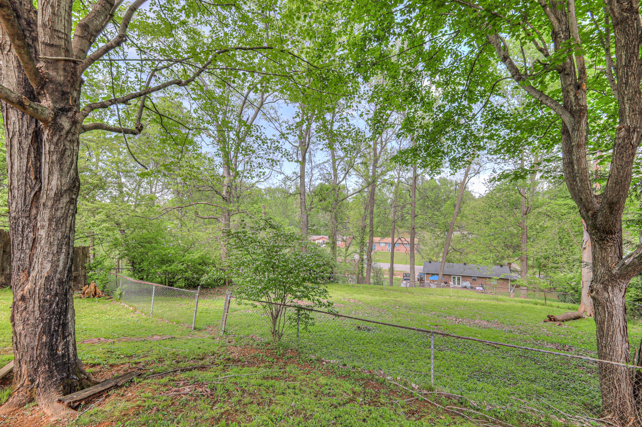 717 Albany Dr