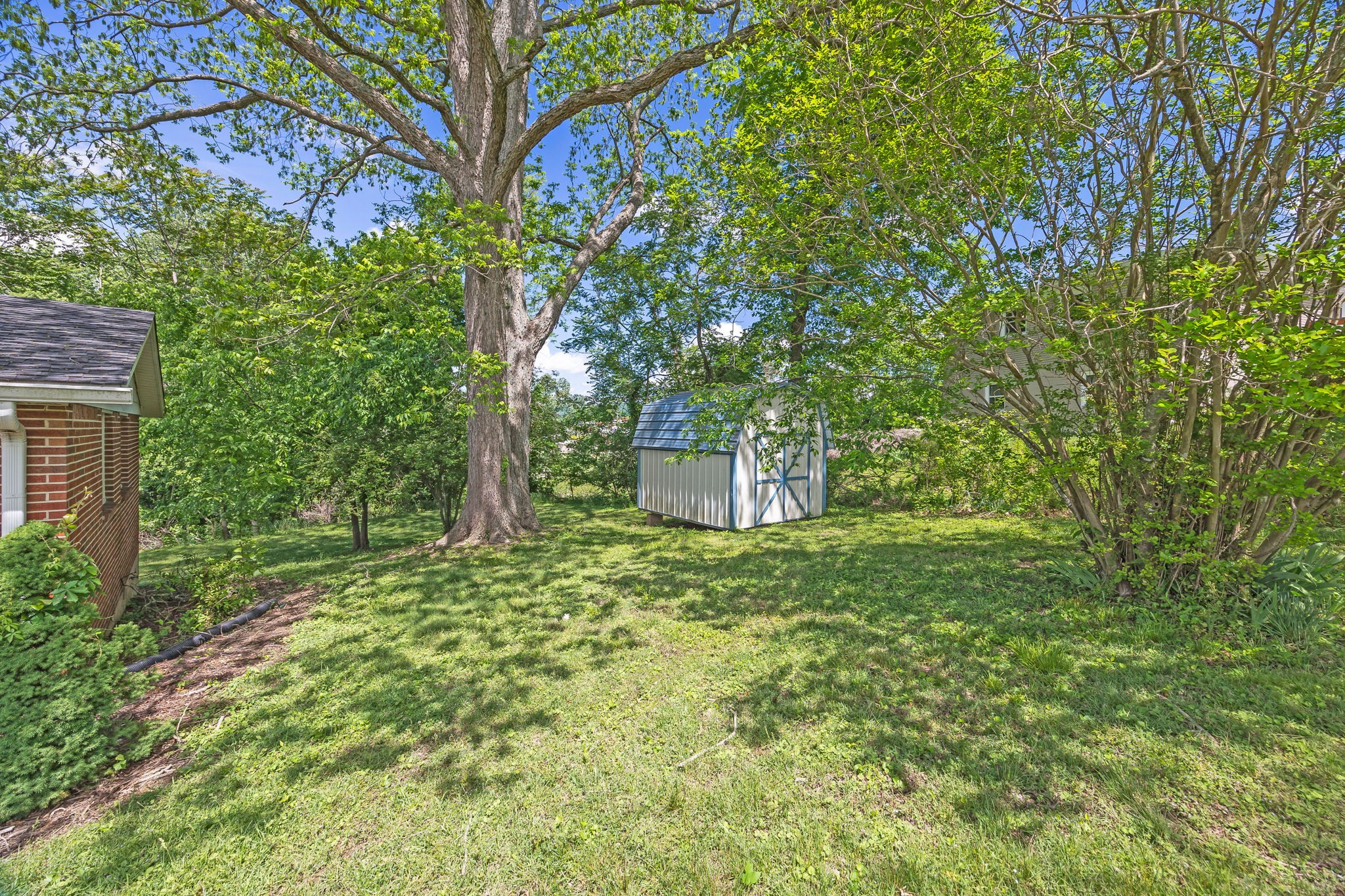 103 Walnut Dr