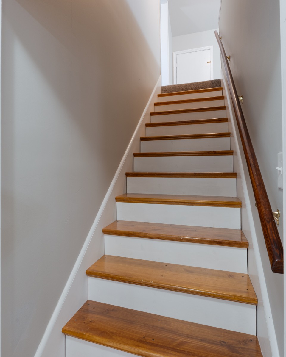 55 Bluebird Ln
