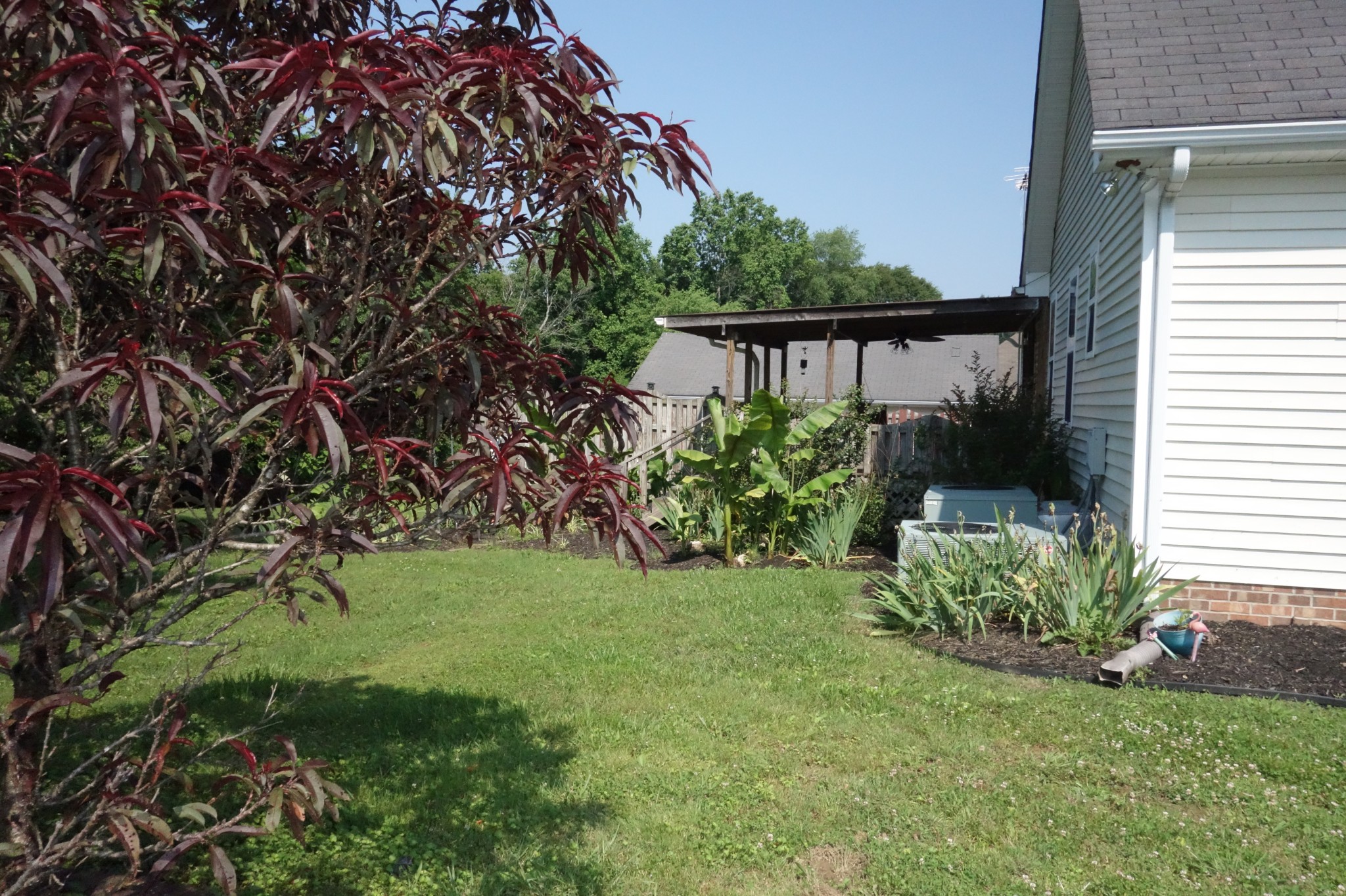 55 Bluebird Ln