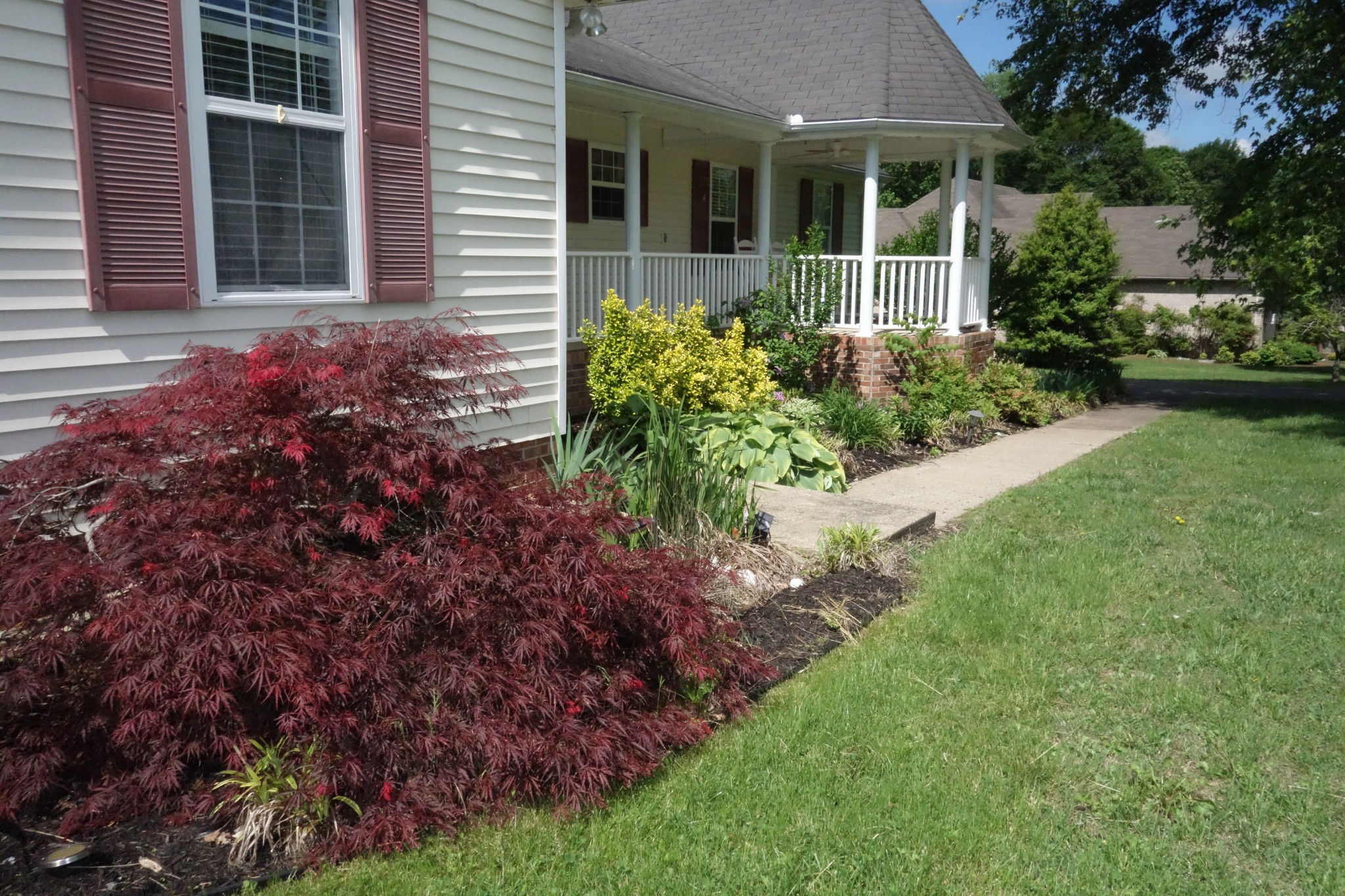 55 Bluebird Ln