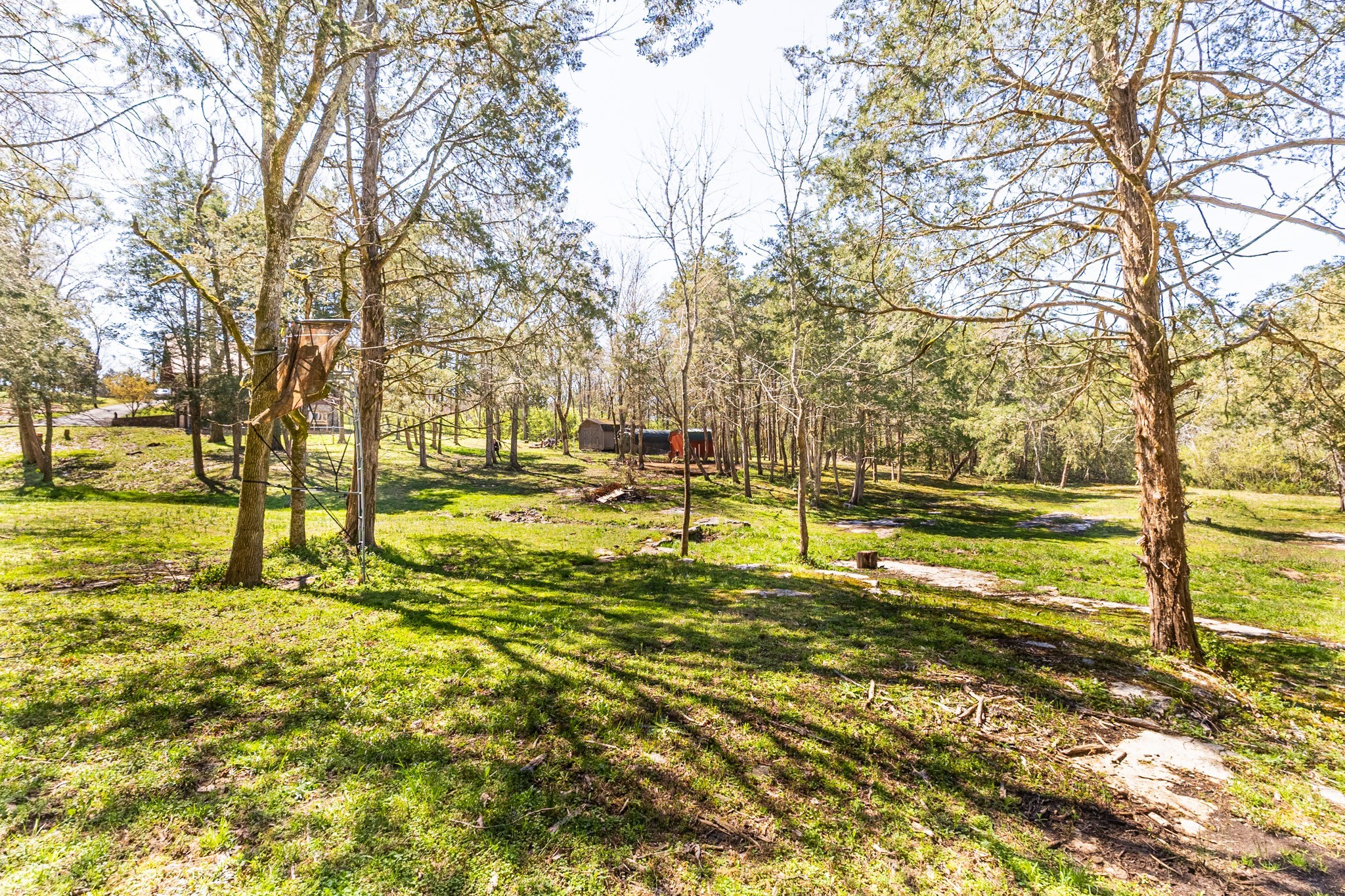 602 Woods Ct