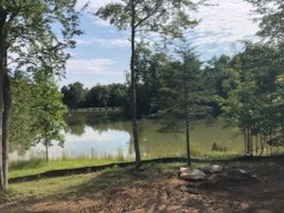 1158 Bluff View Drive