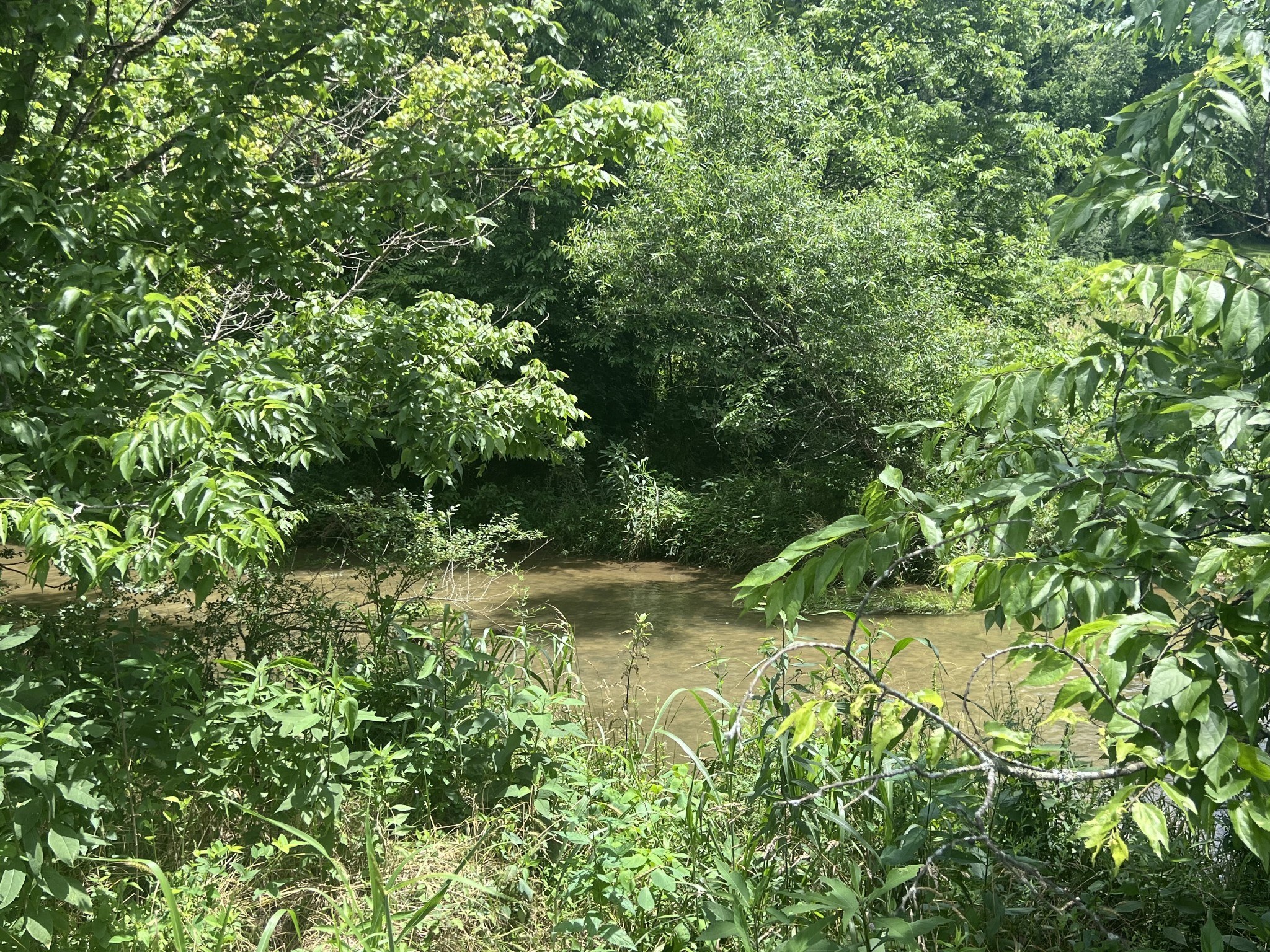 0 Beech Log Road
