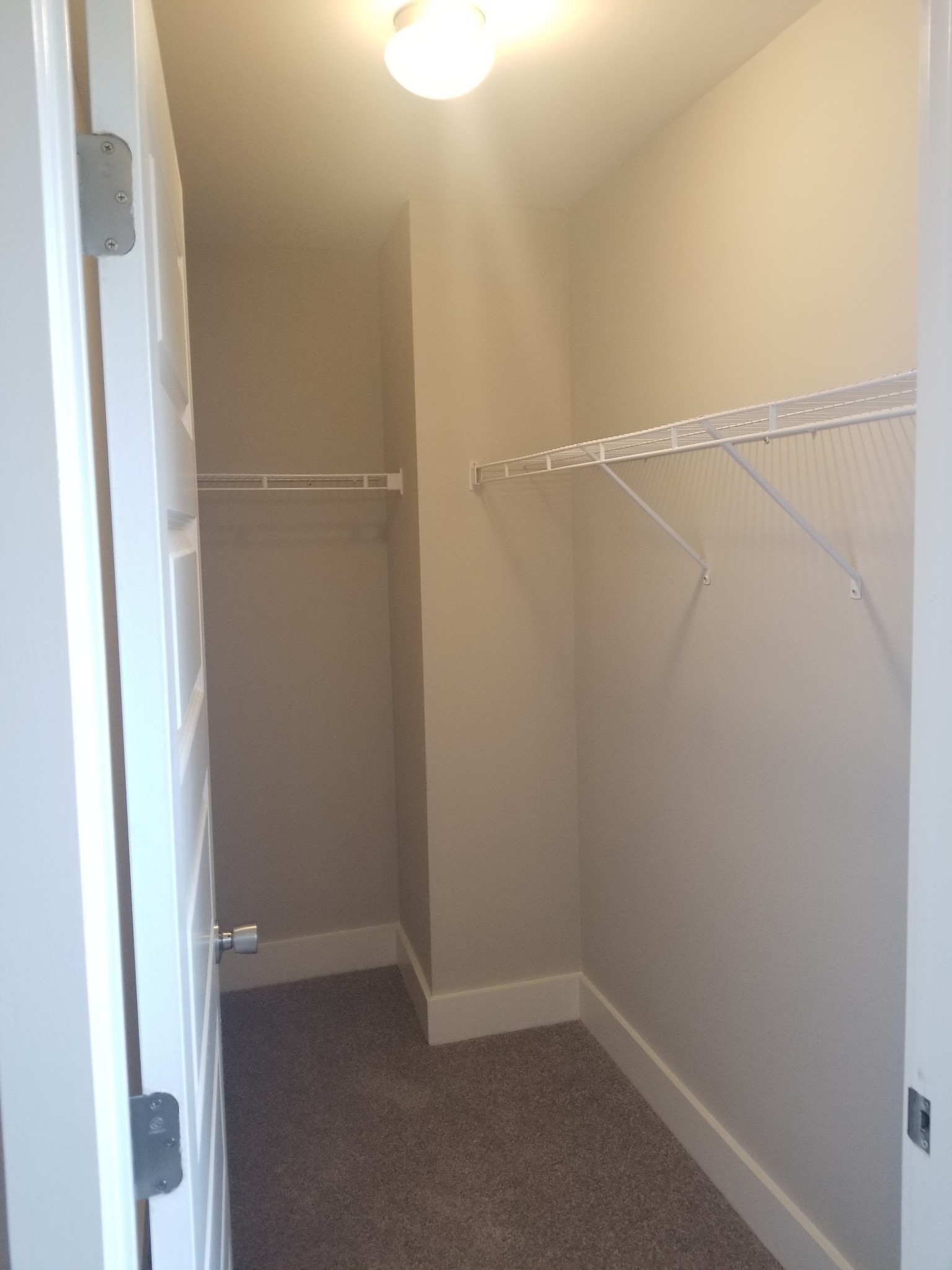 8014 Tuberose Ct