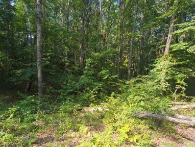 1346 Elliot Rd