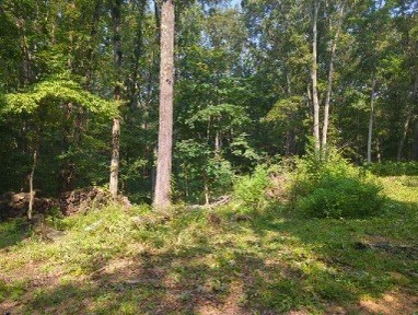 1346 Elliot Rd