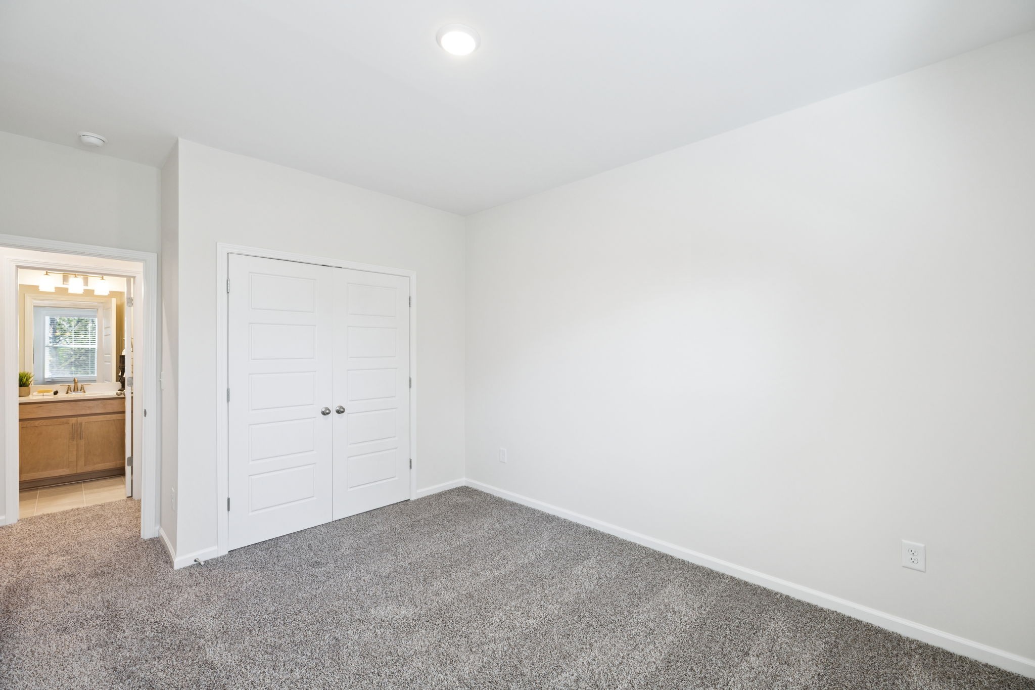 329 Carver Connection
