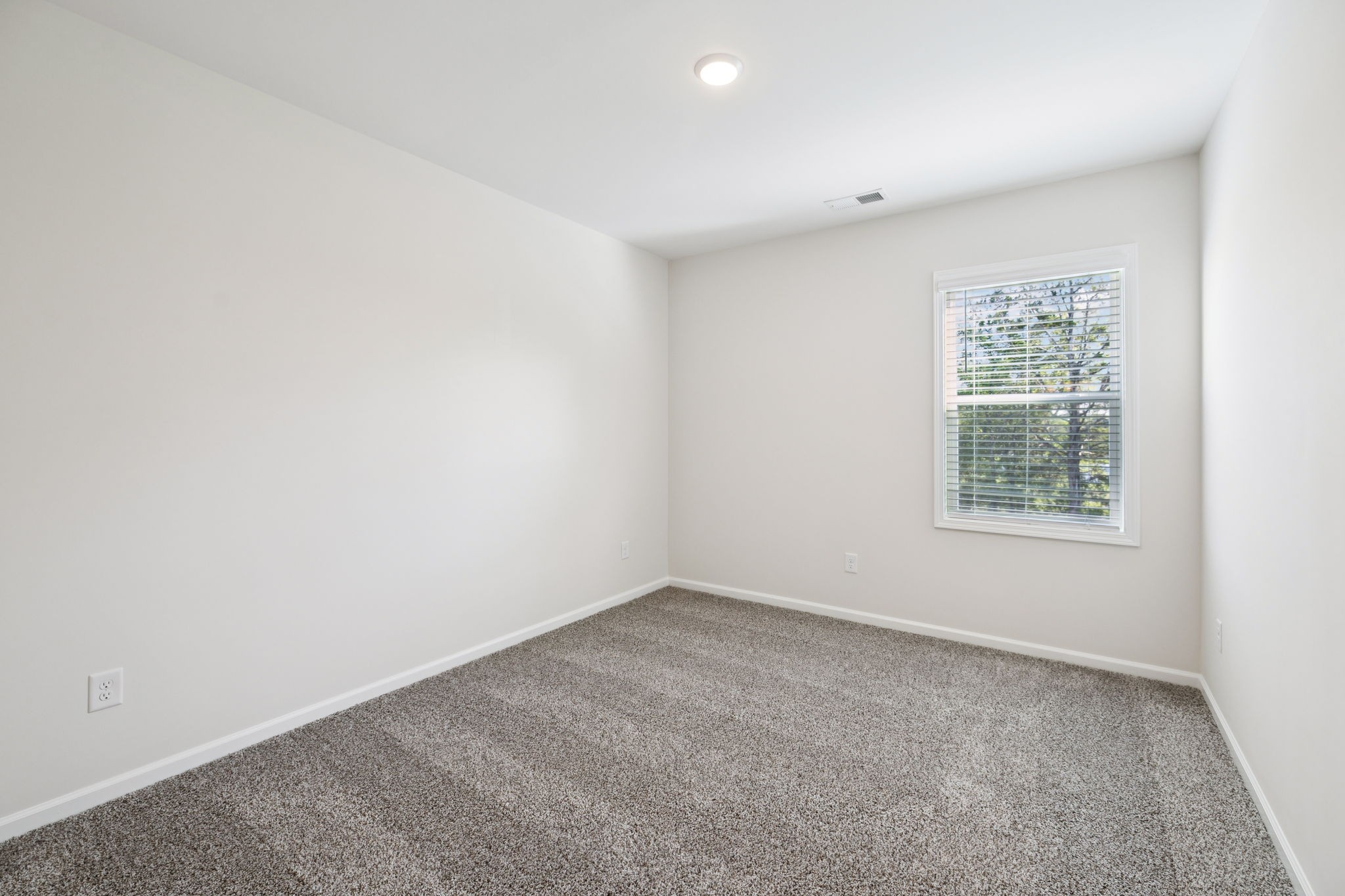329 Carver Connection