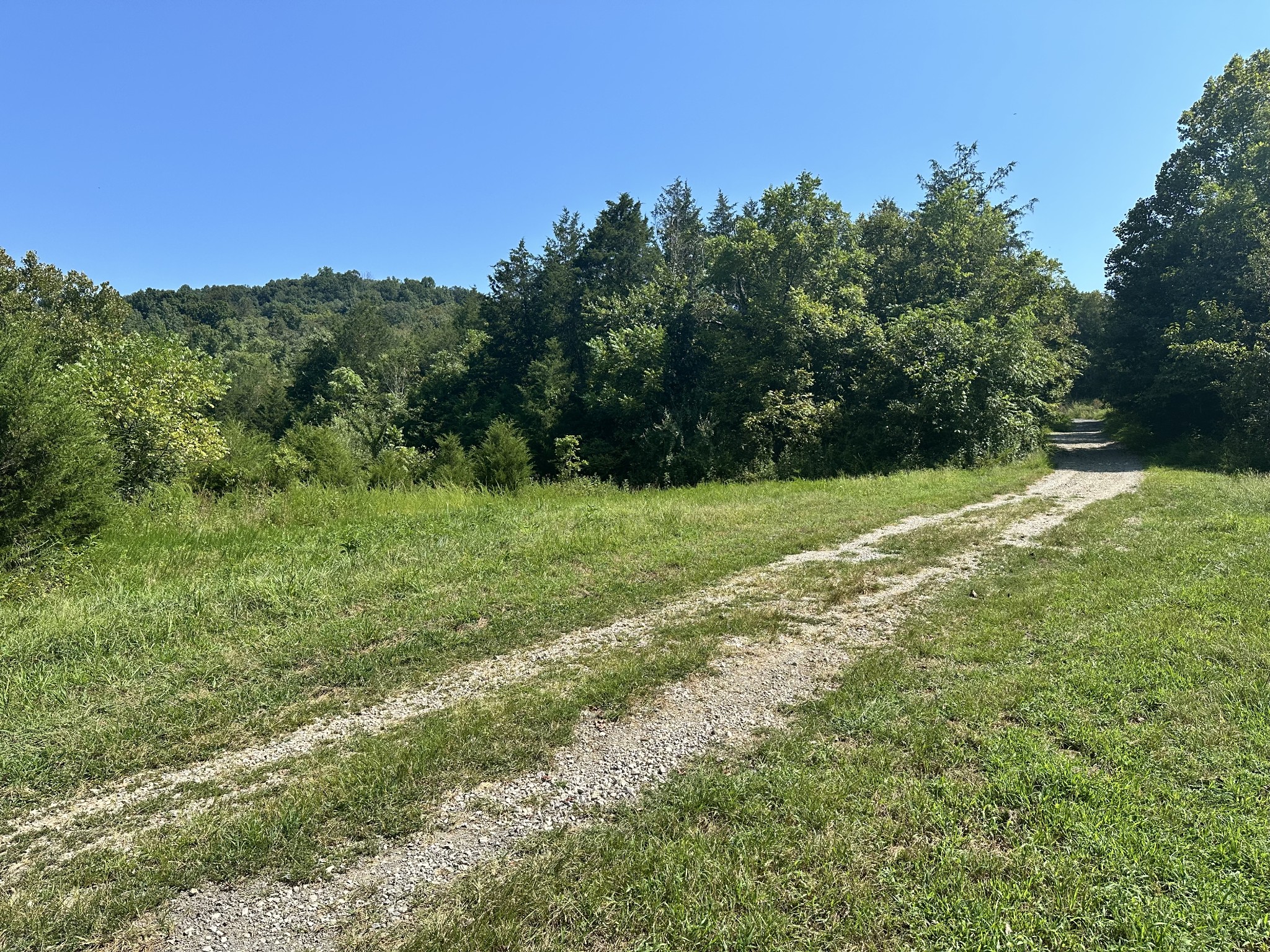 167 Green Hill Rd