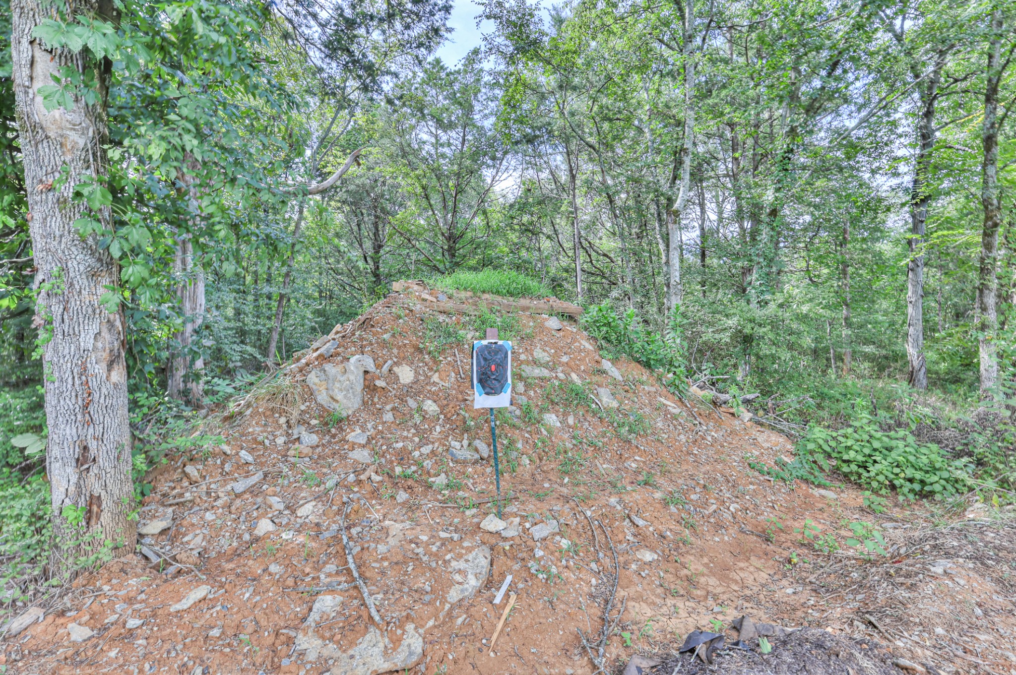 5673 Elam Rd