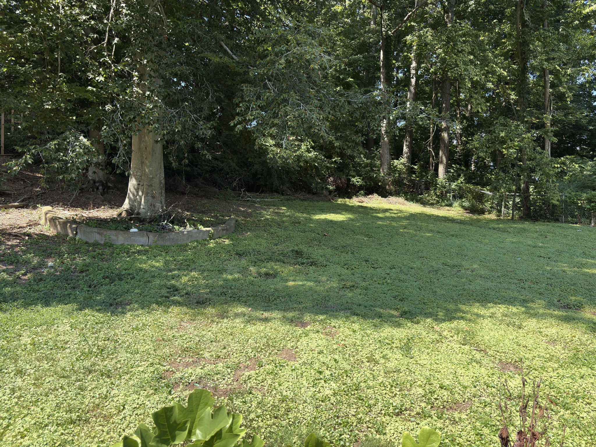 4917 Algonquin Trl